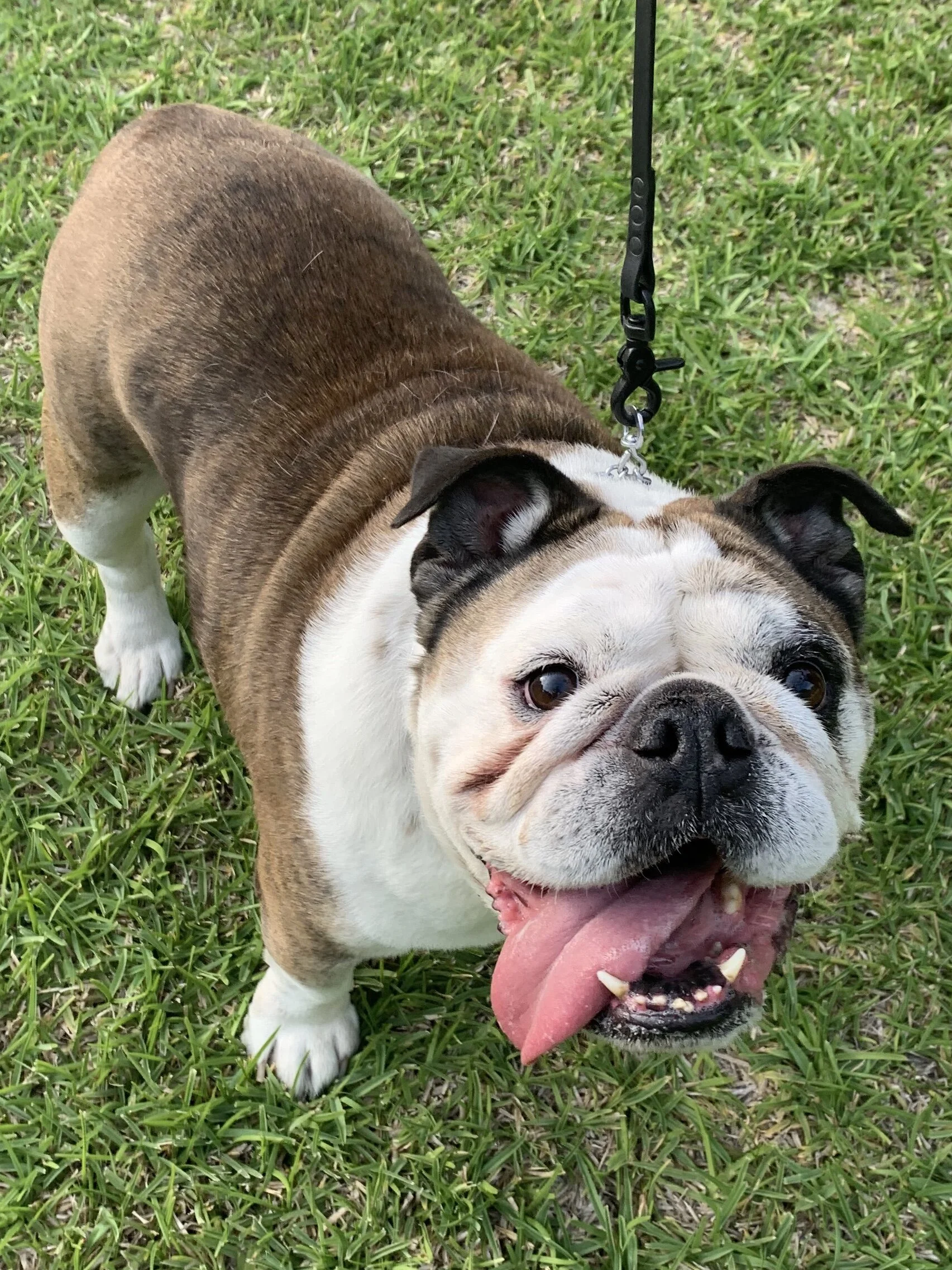 Photo May 16, 6 40 03 PM.jpg