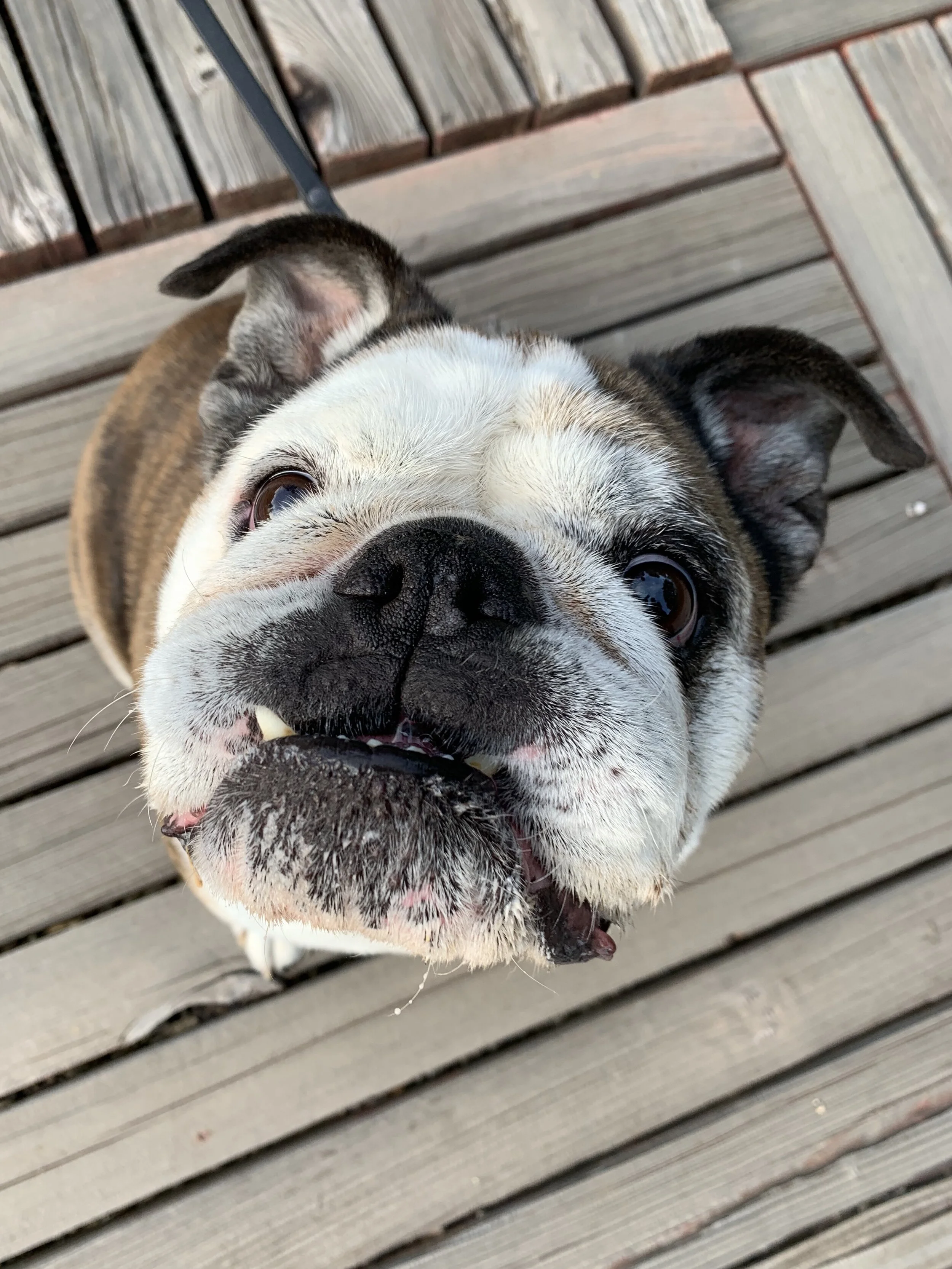 Photo May 16, 6 34 12 PM.jpg