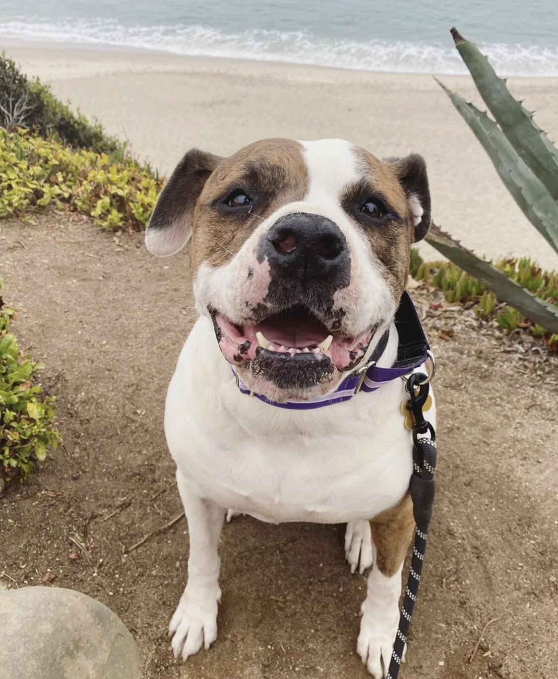 Photo Aug 28, 10 46 36 PM.jpg