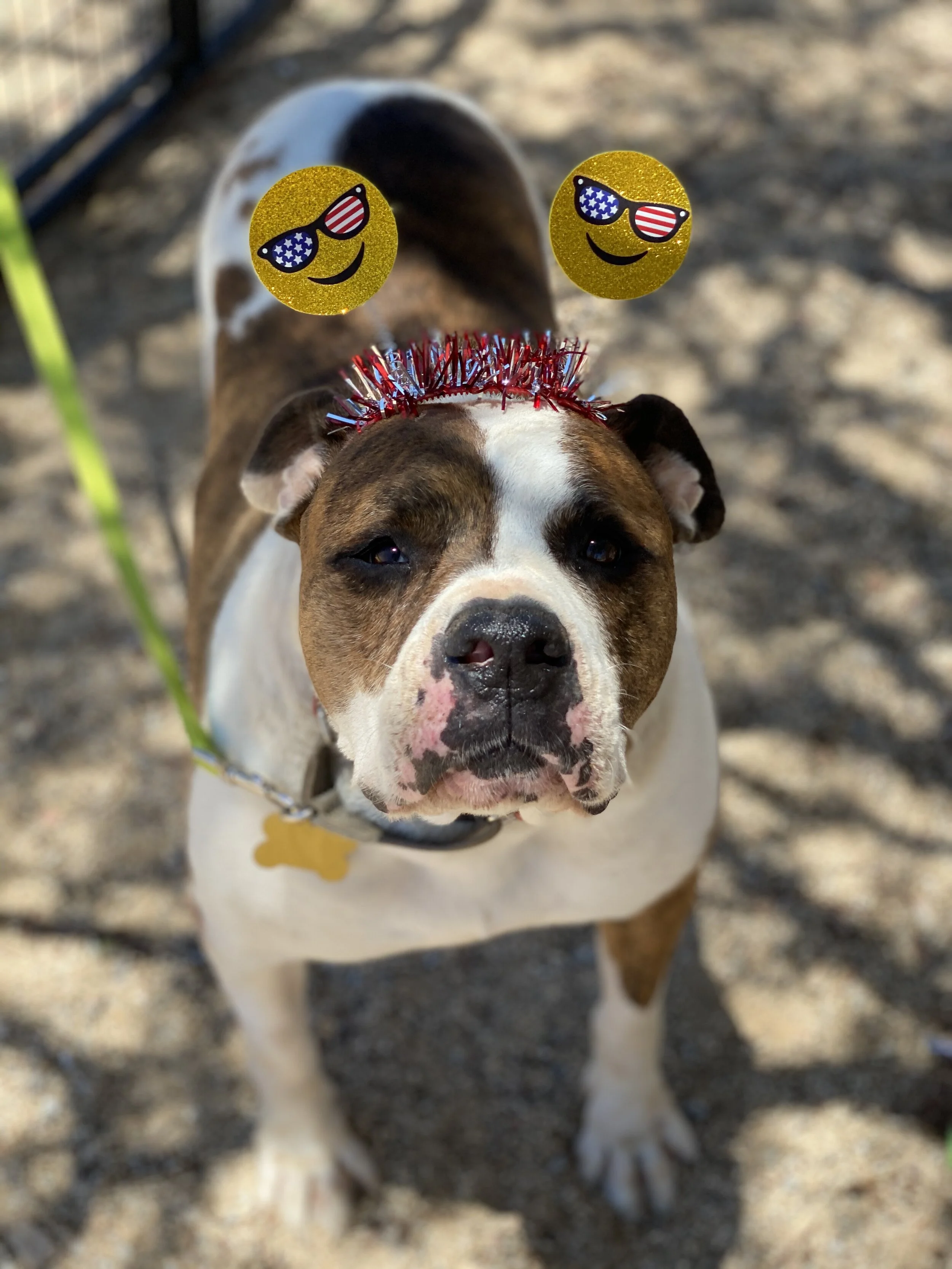 Photo Jun 29, 1 13 29 PM.jpg