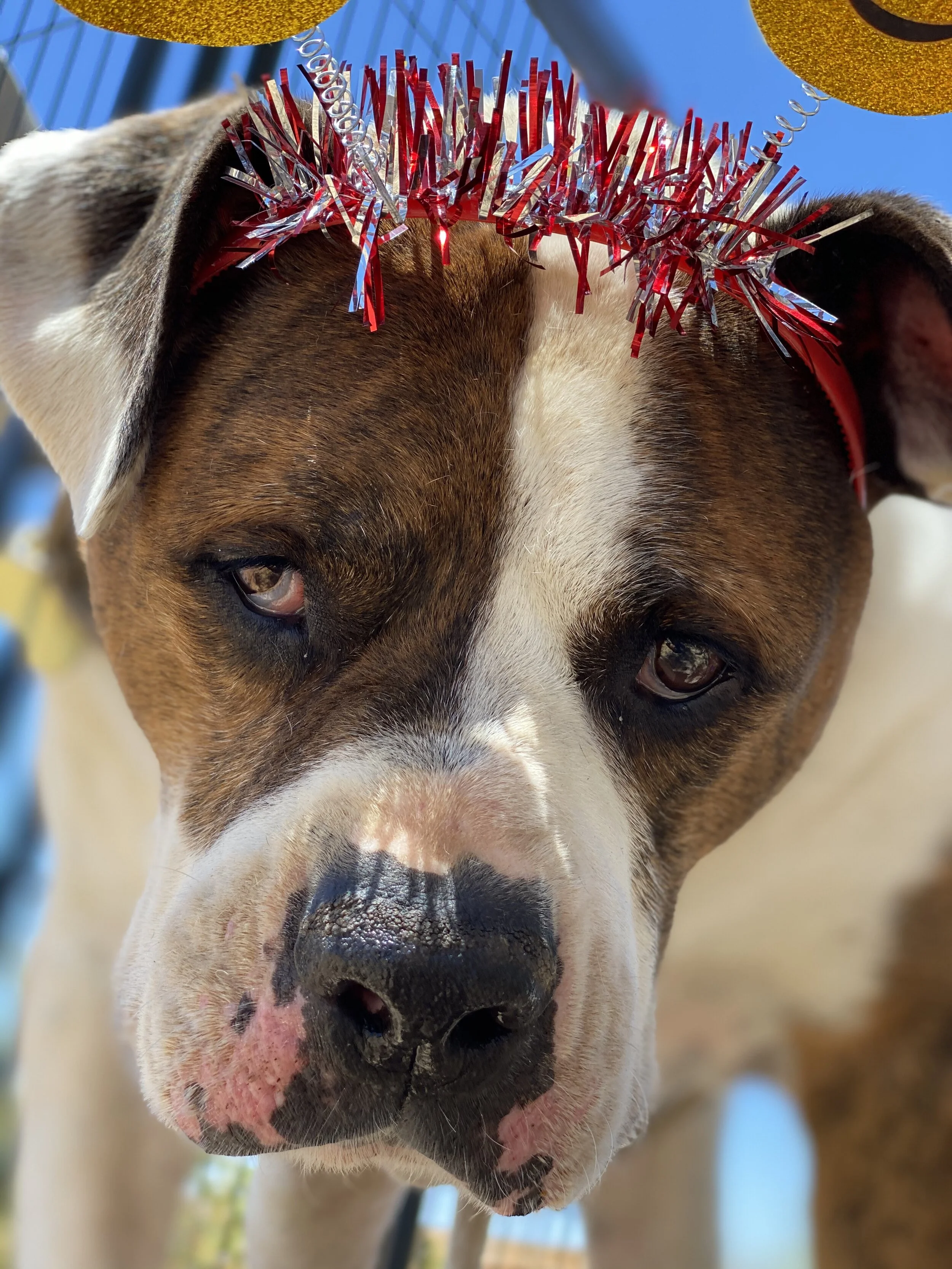 Photo Jun 29, 1 14 03 PM.jpg