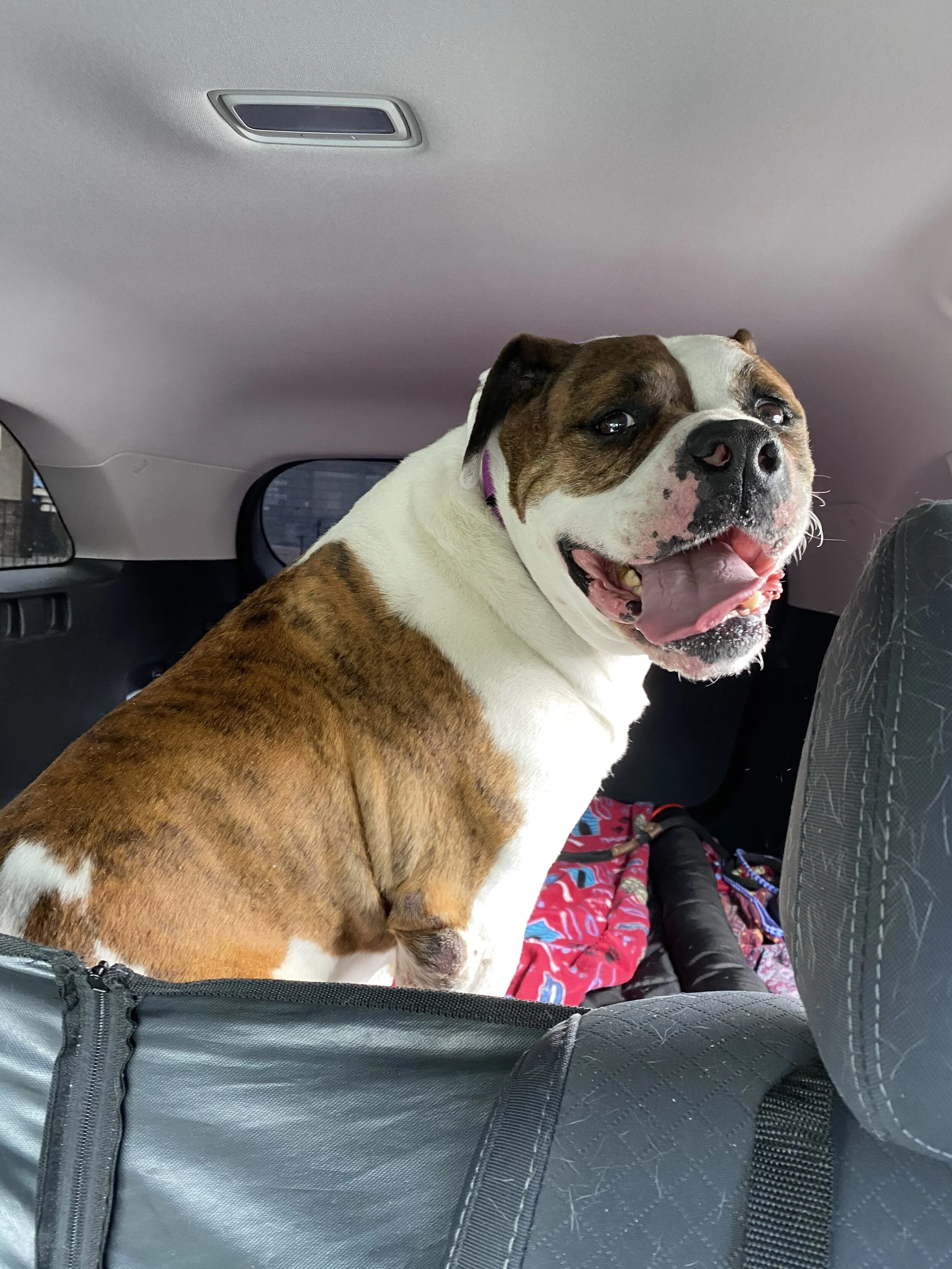 Photo Mar 19, 2 59 19 PM.jpg