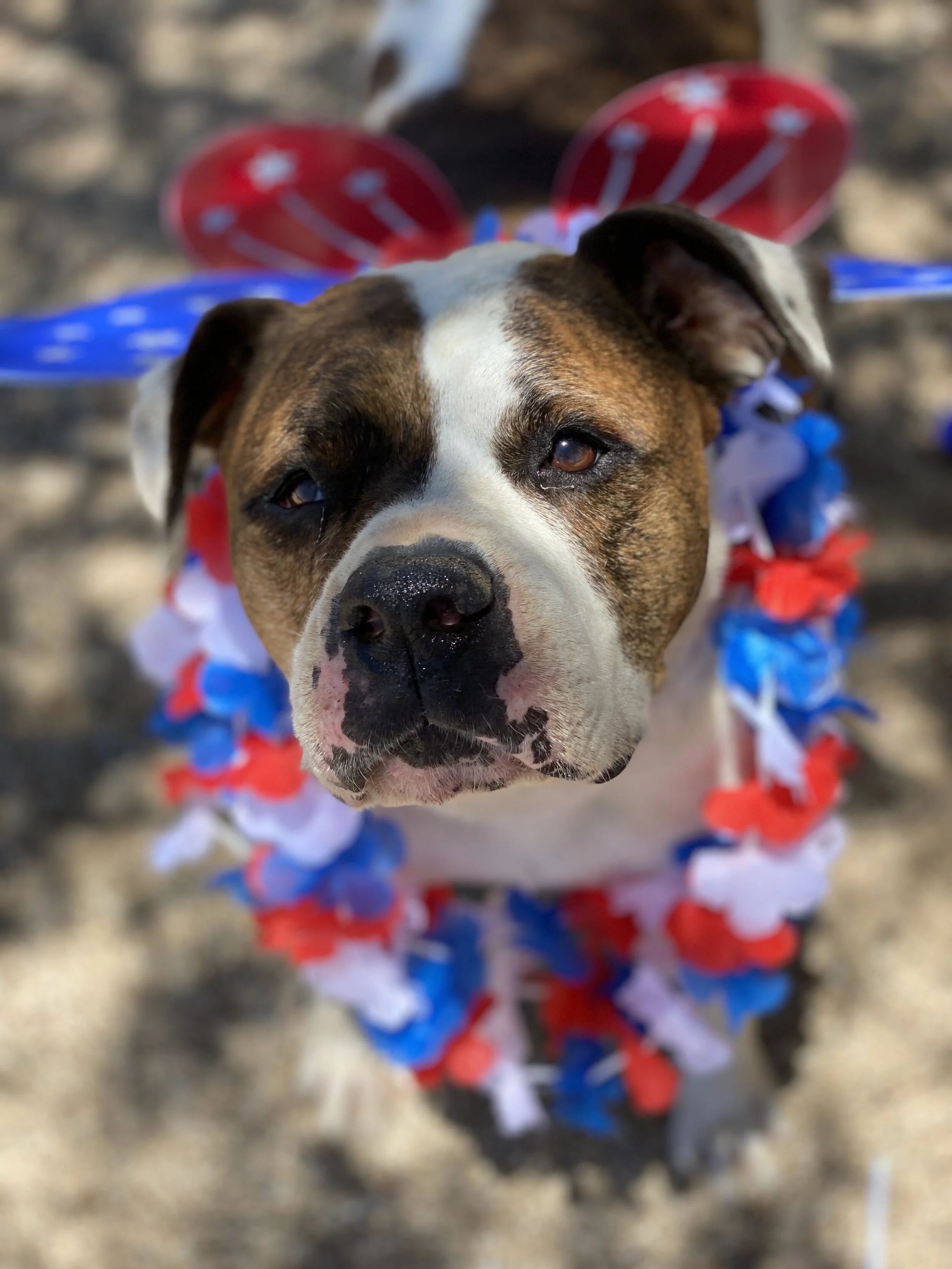 Photo Jun 29, 1 04 38 PM.jpg