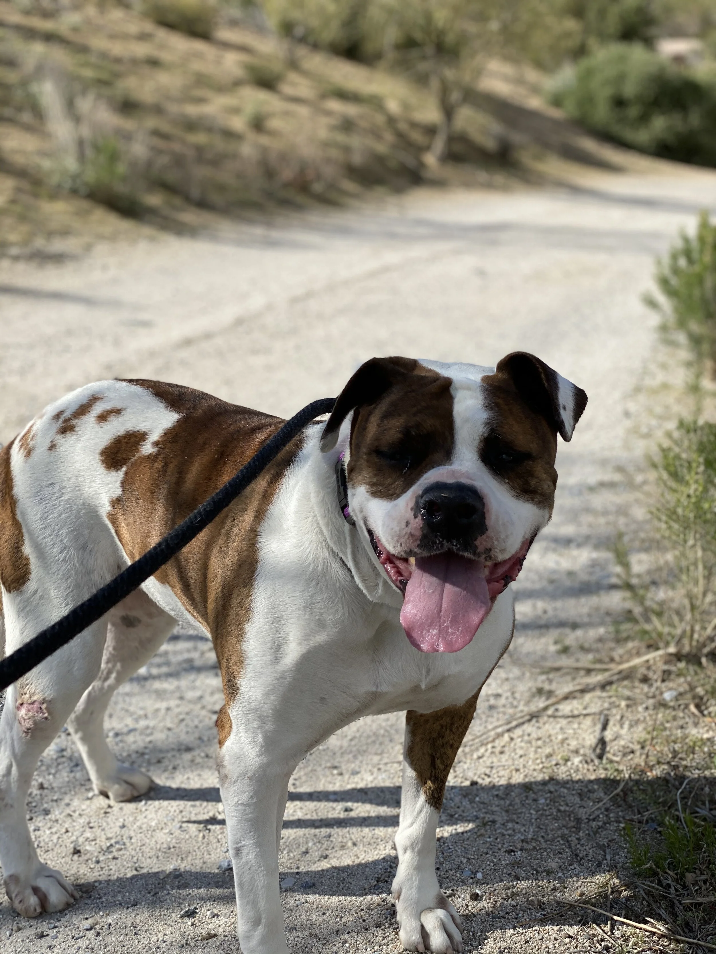 Photo Mar 19, 4 13 30 PM.jpg