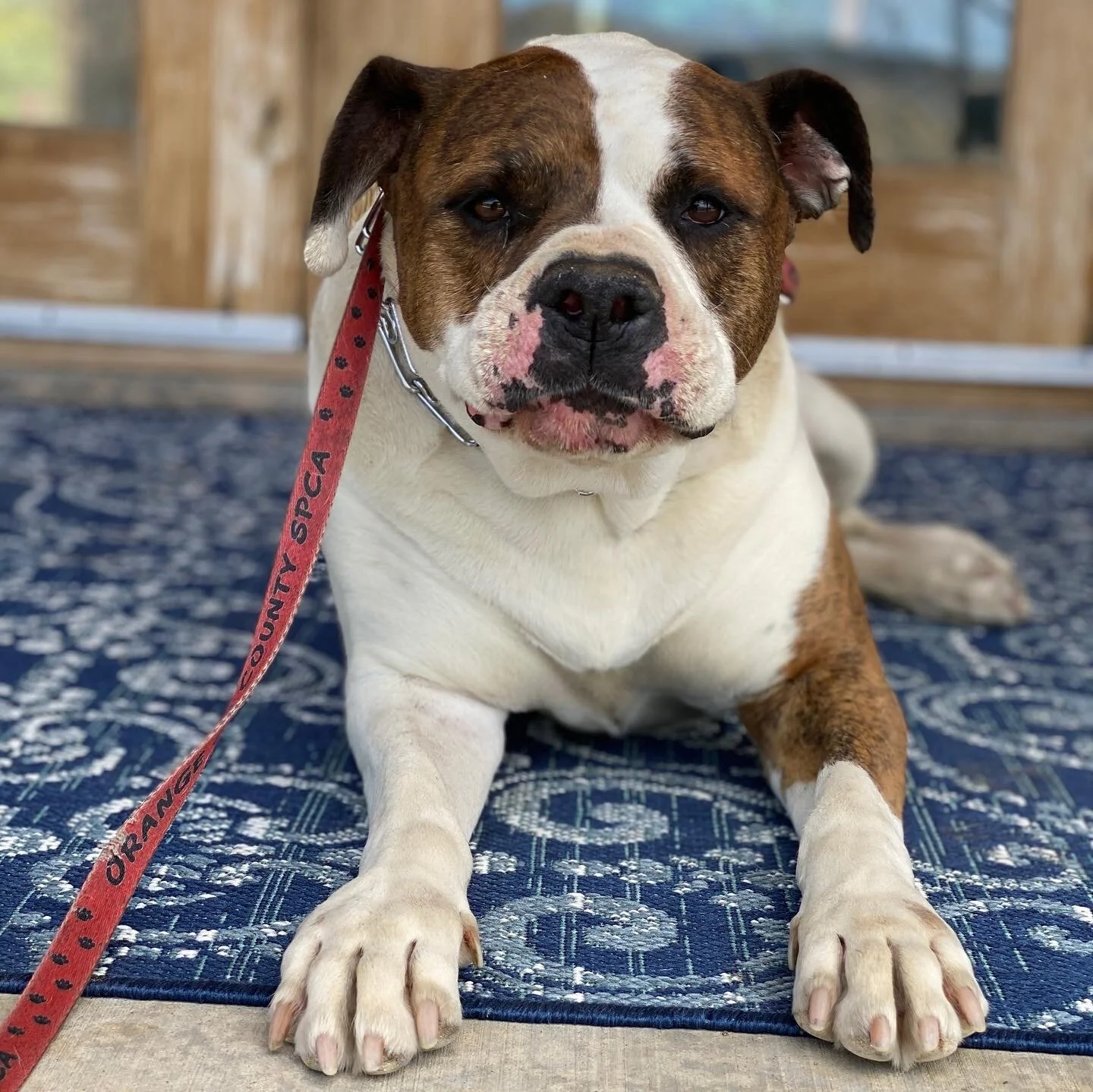 Photo Apr 21, 9 26 20 AM.jpg