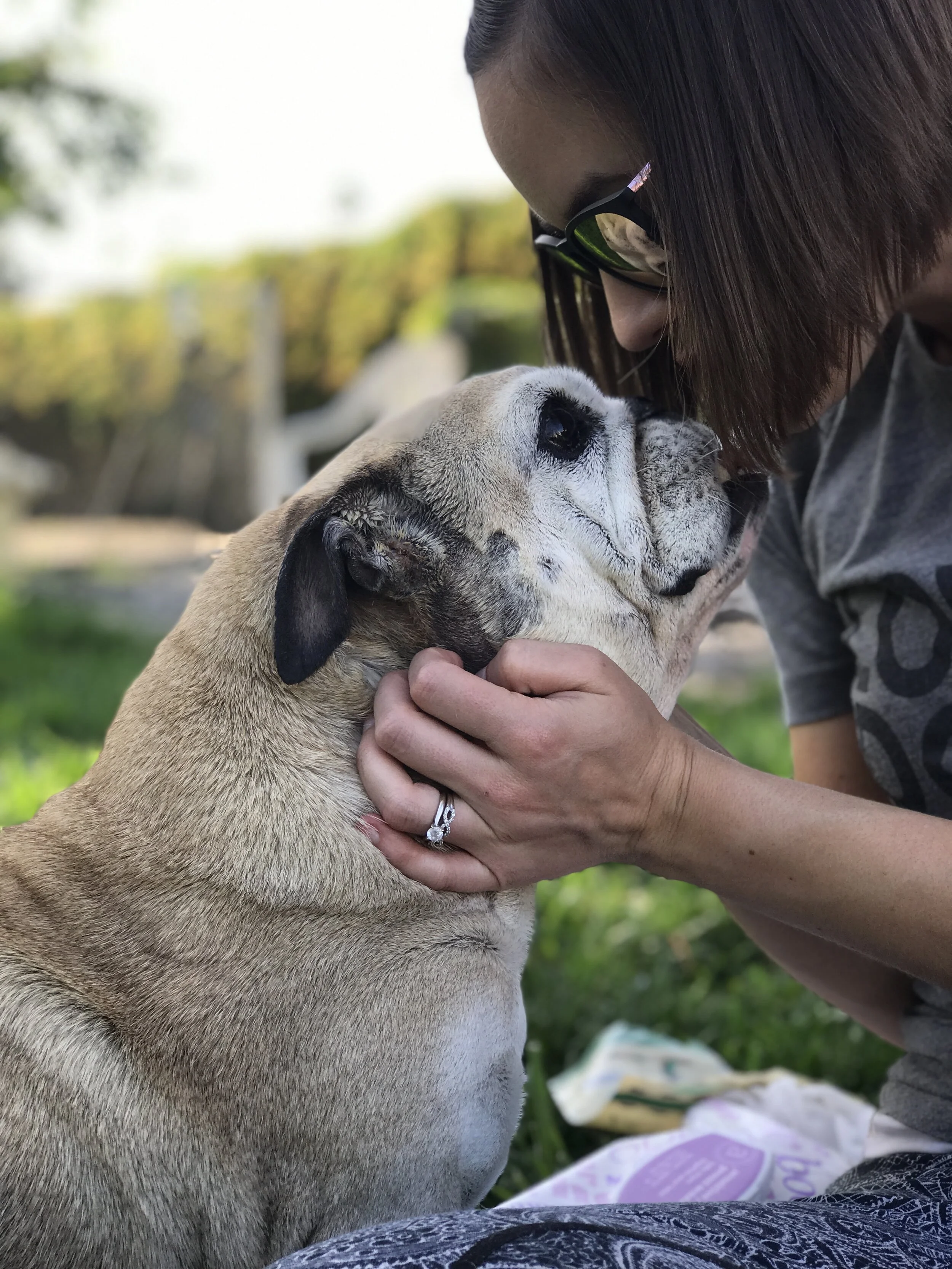 2019-05-04 17.22.06-1.jpg