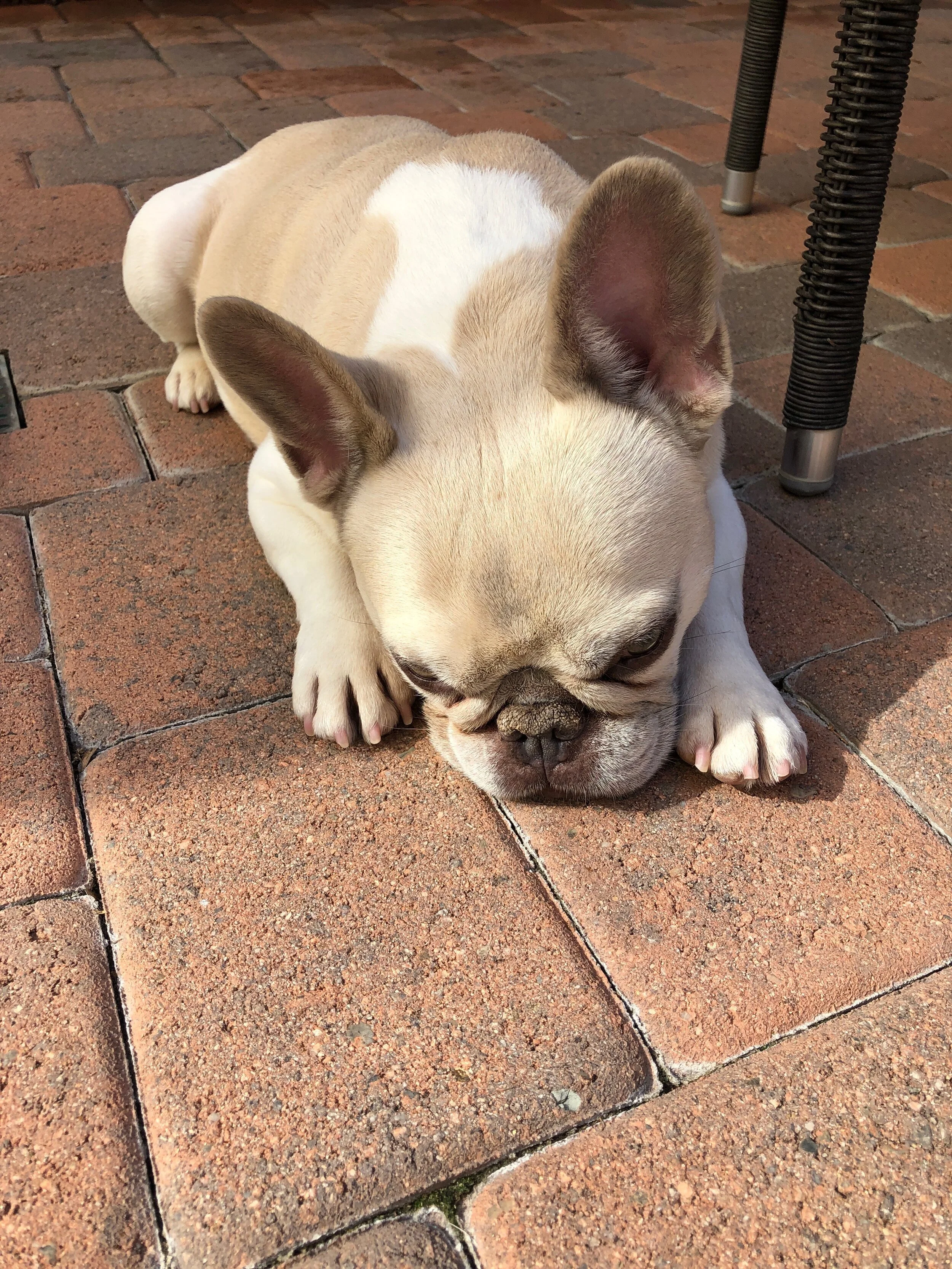 Photo Aug 28, 10 46 36 PM.jpg