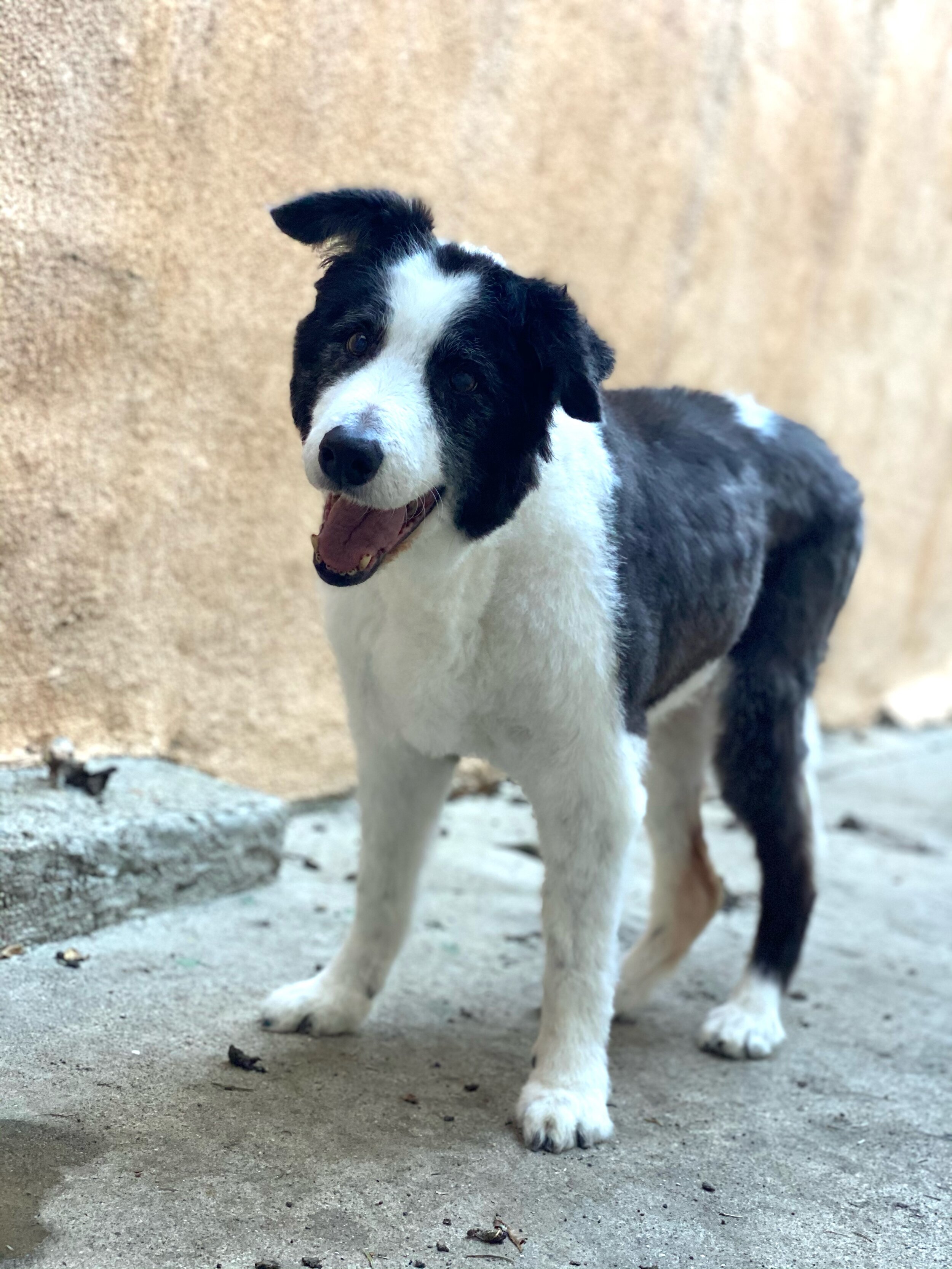 Photo Dec 31, 3 46 00 PM.jpg