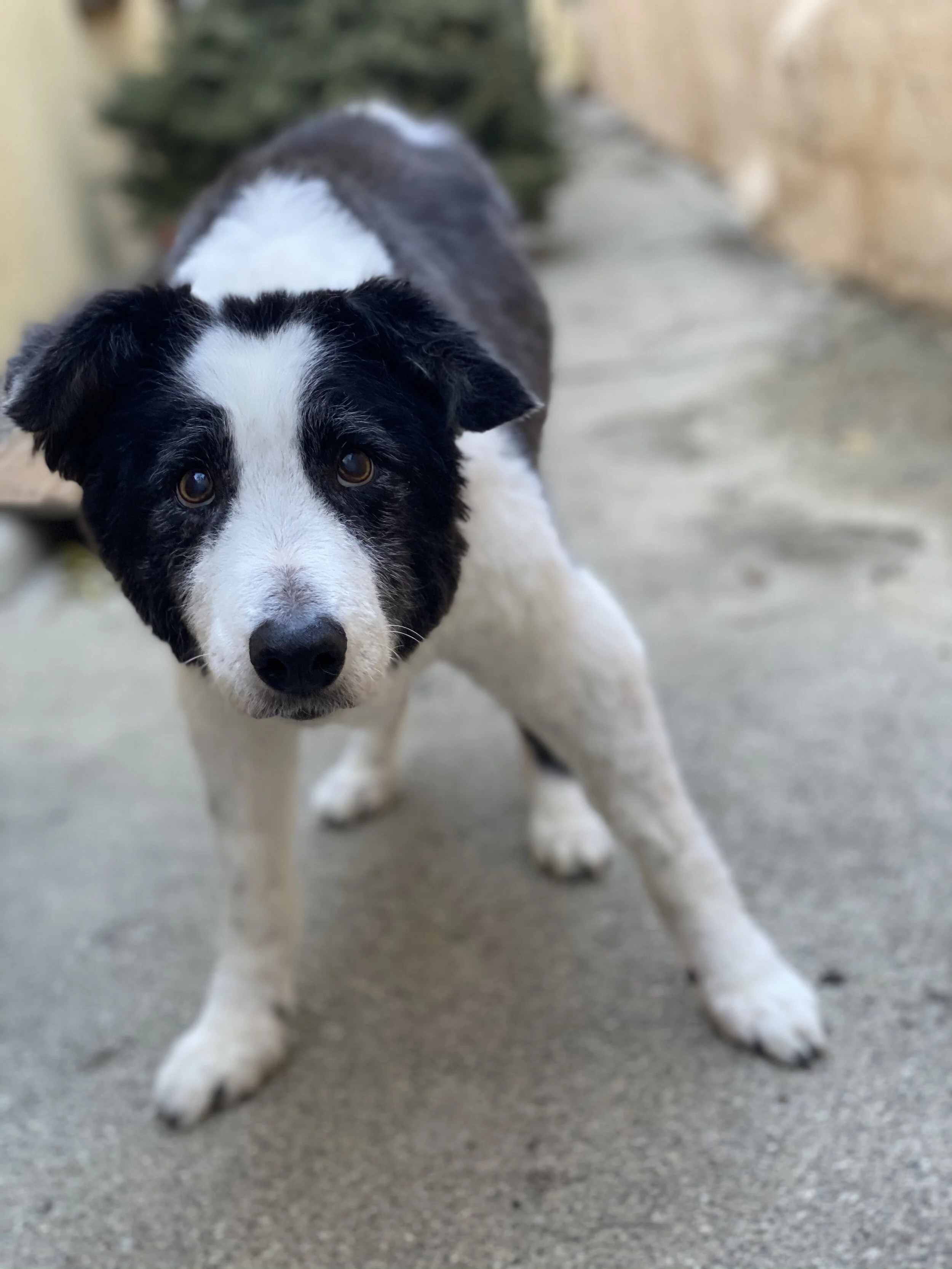 Photo Dec 31, 3 41 19 PM.jpg