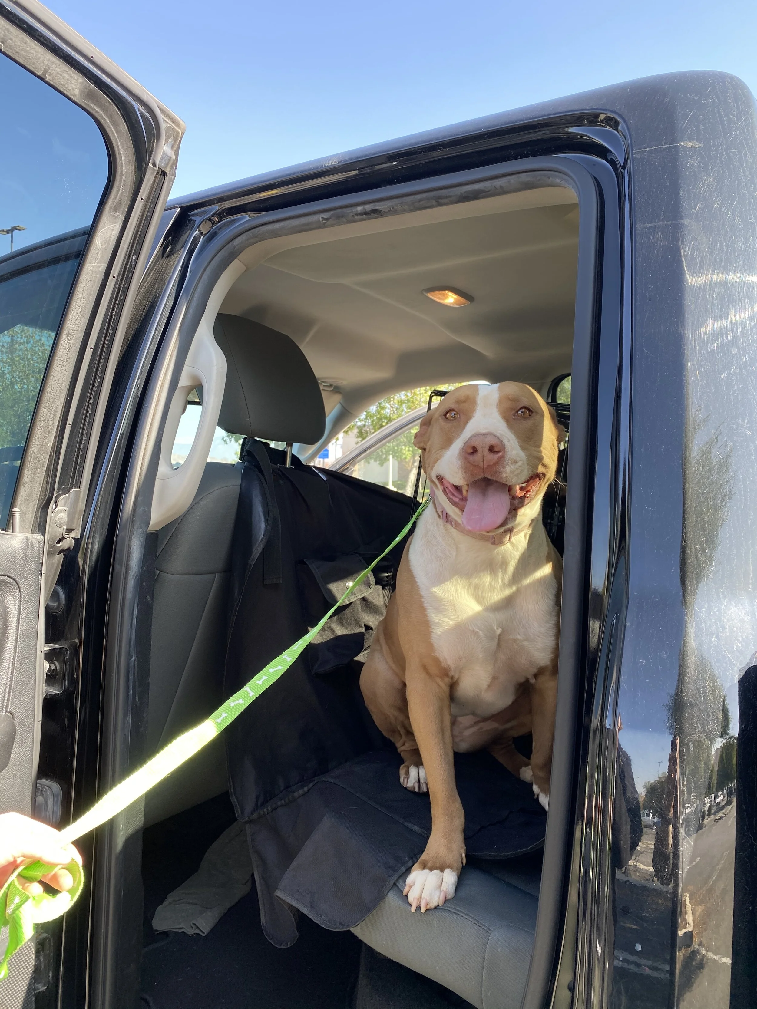 Photo Nov 23, 11 00 25 AM.jpg