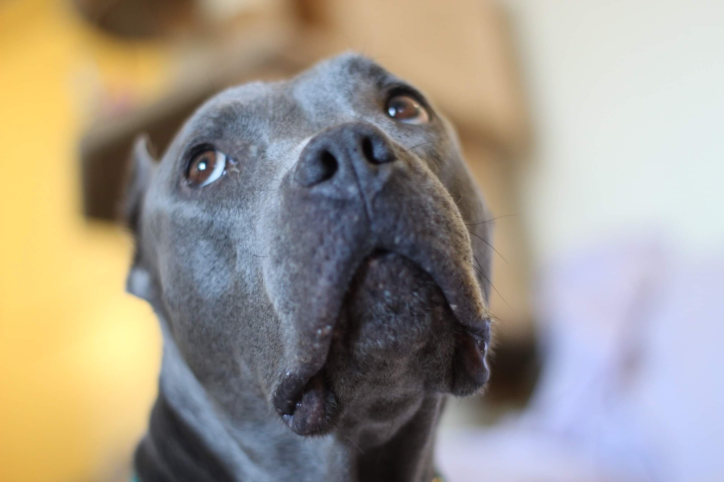 Photo Jan 16, 4 19 34 PM (7).jpg