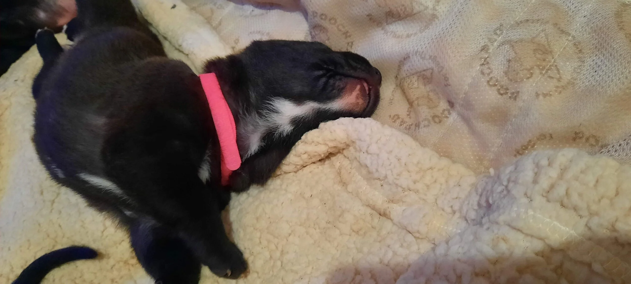 Photo Jan 09, 6 59 33 AM (1).jpg