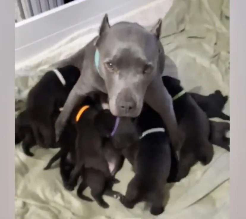 Photo Jan 12, 9 10 26 PM.jpg