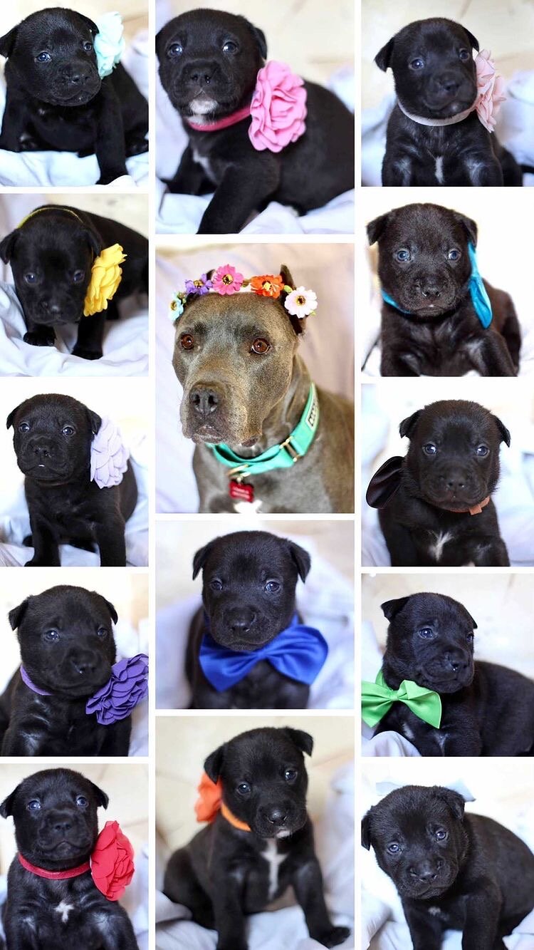 Photo Jan 19, 1 48 40 PM.jpg