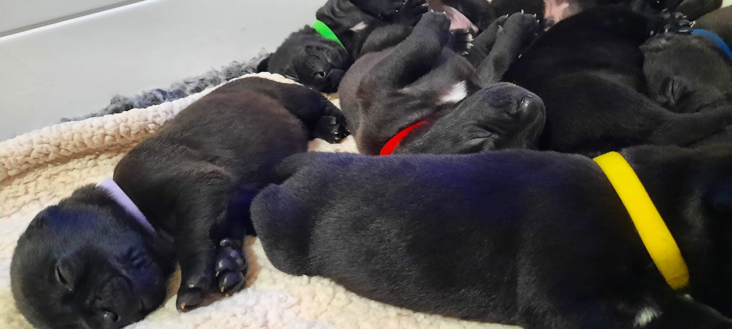 Photo Jan 09, 6 59 40 AM (1).jpg