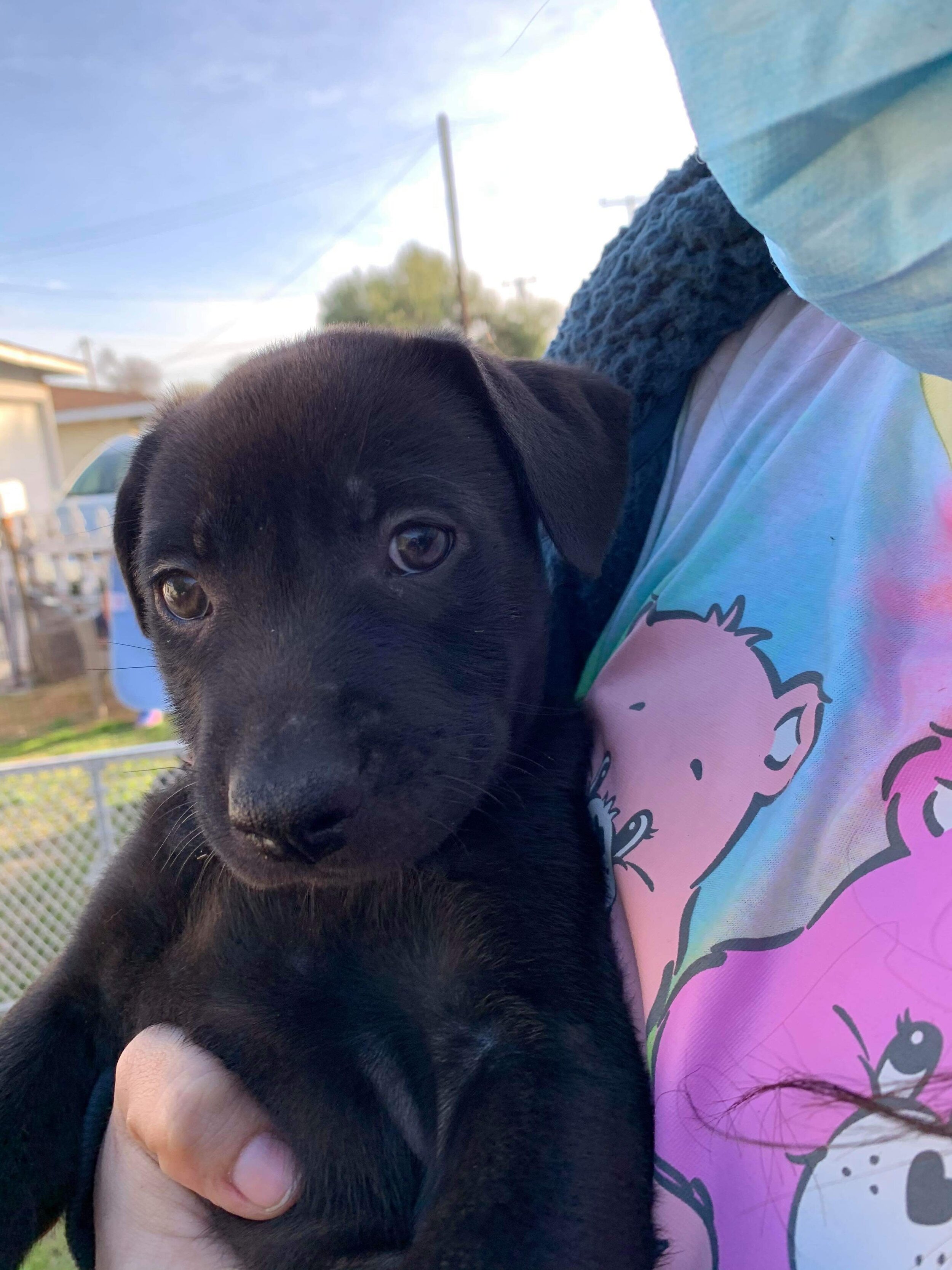 Photo Feb 16, 8 10 22 PM.jpg