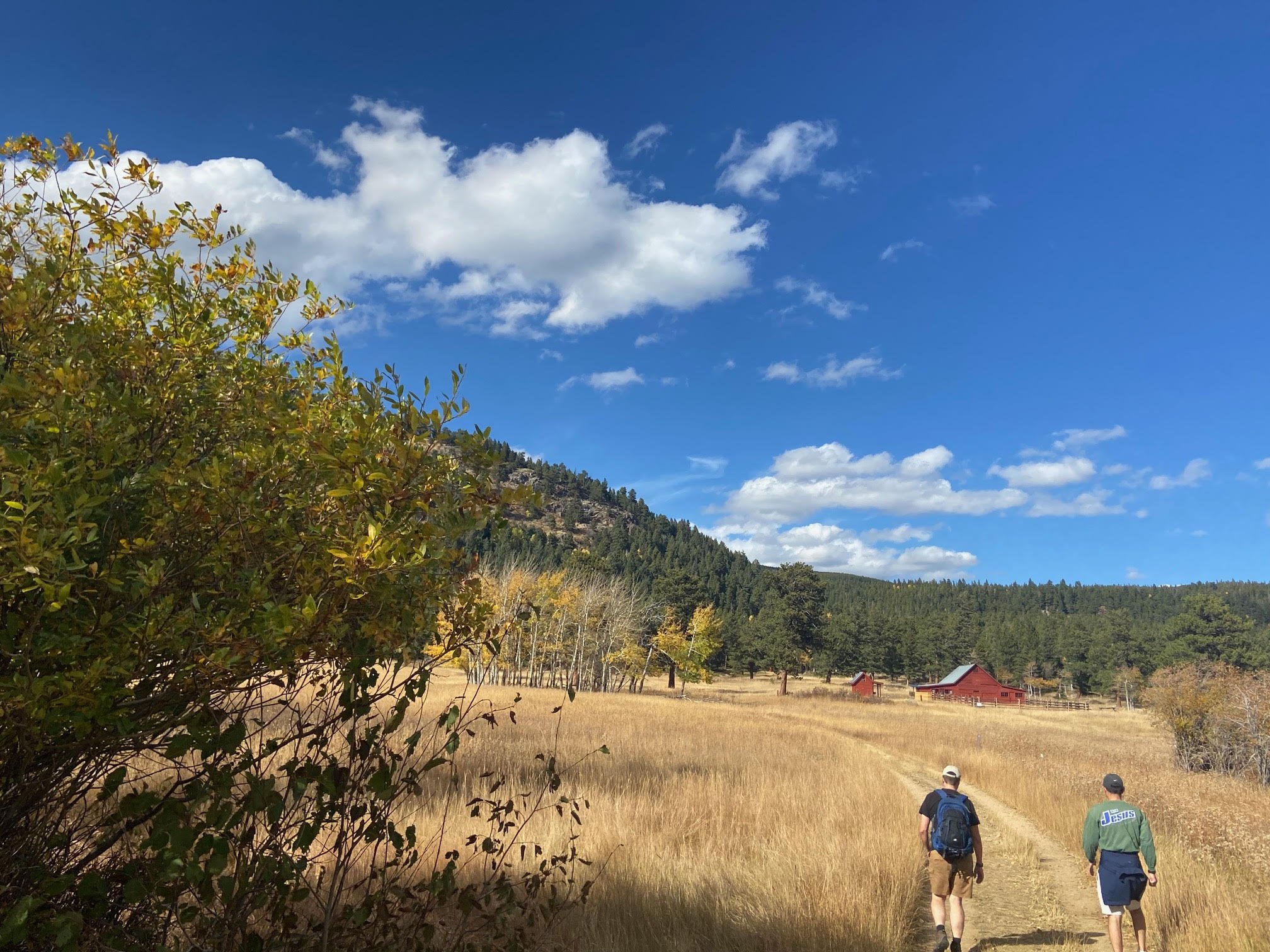 I want you to know in your heart of hearts that you are okay.