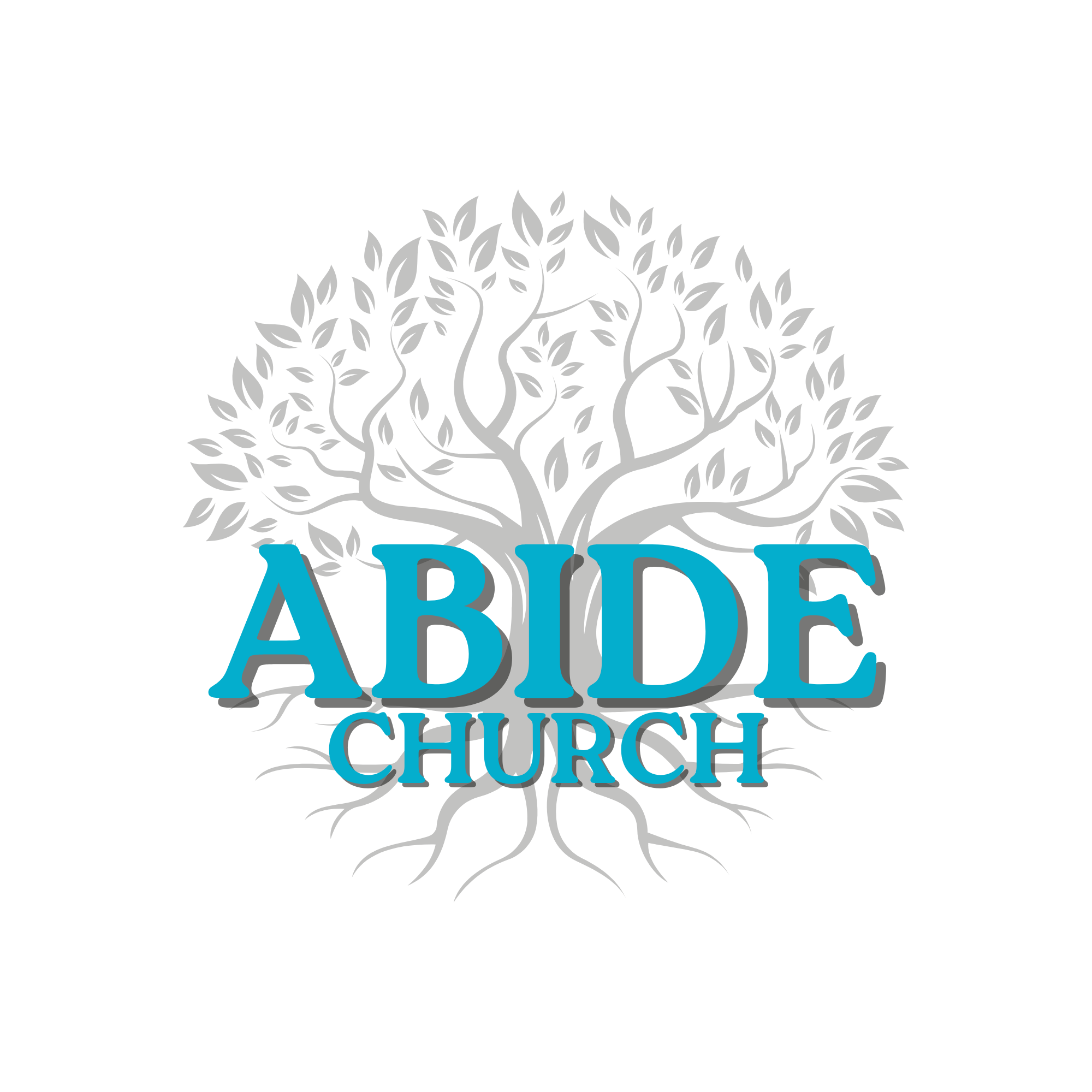Abide Church Fellowship Event 