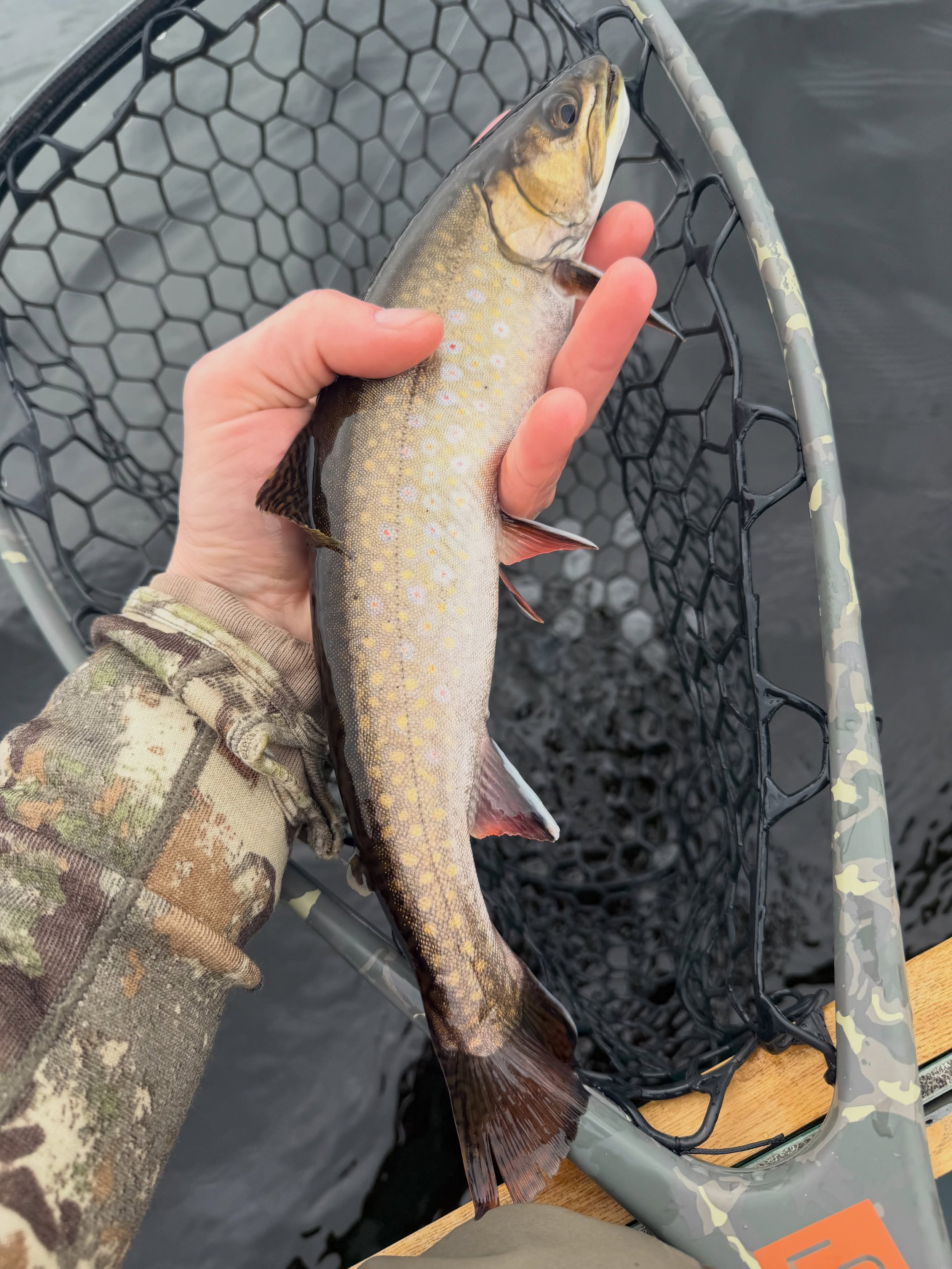 AWW Beauty 🙏

#allagash #brooktrout #flyfishing #maineguide #northmainewoods