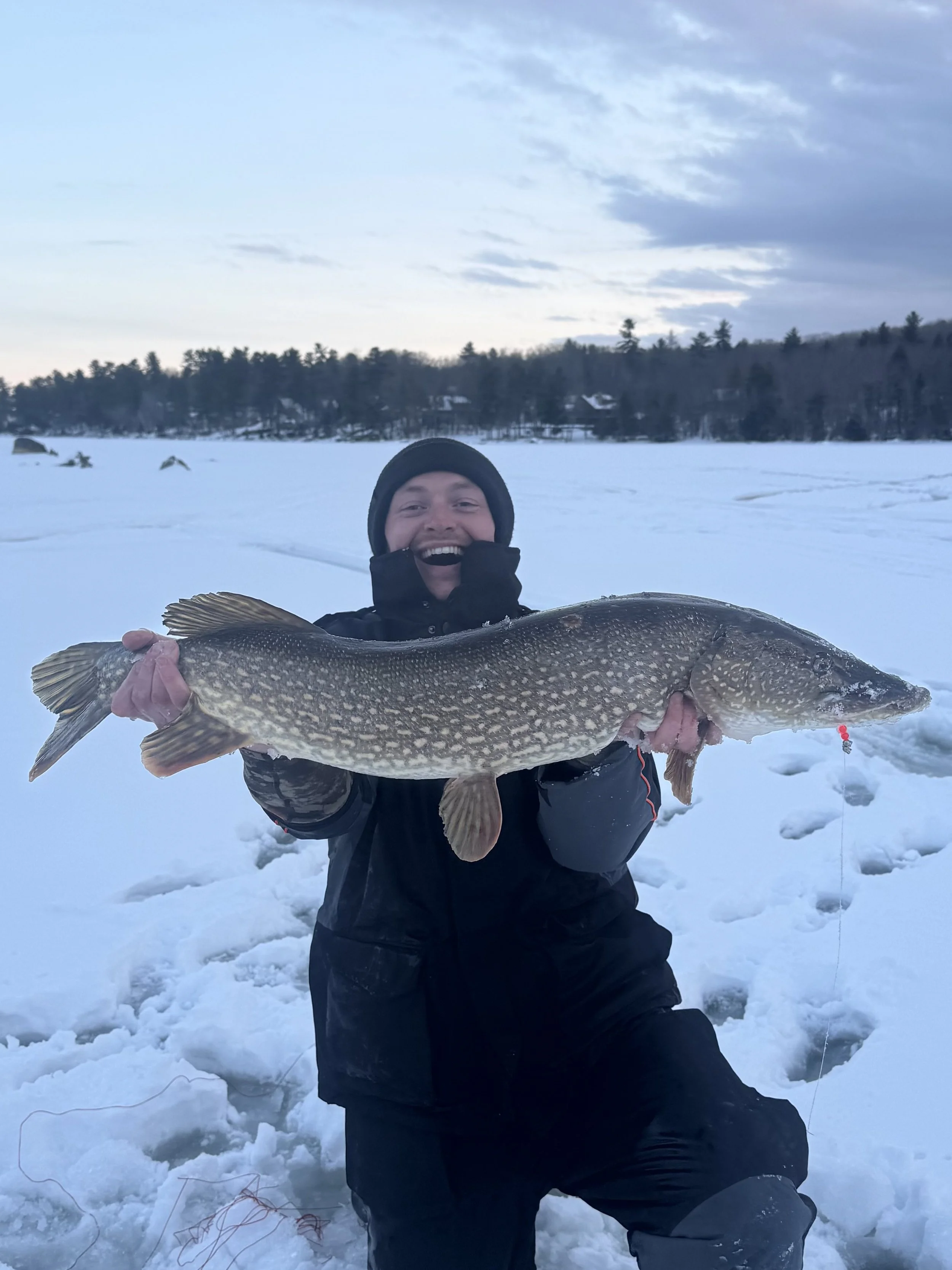Person in winter clothing holding a large fish on a snow-covered frozen lake with trees and cloudy sky in the background.