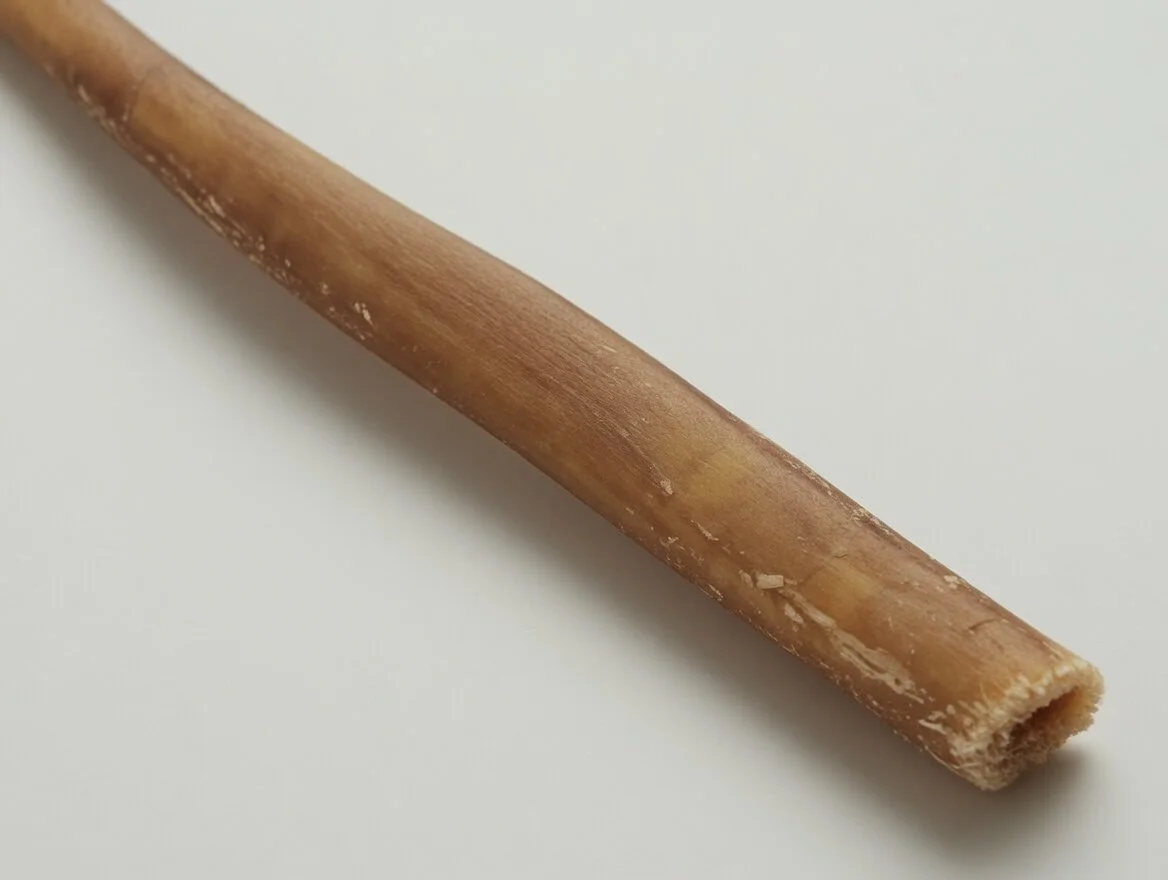 Regular Green Line Bully (close up).jpg