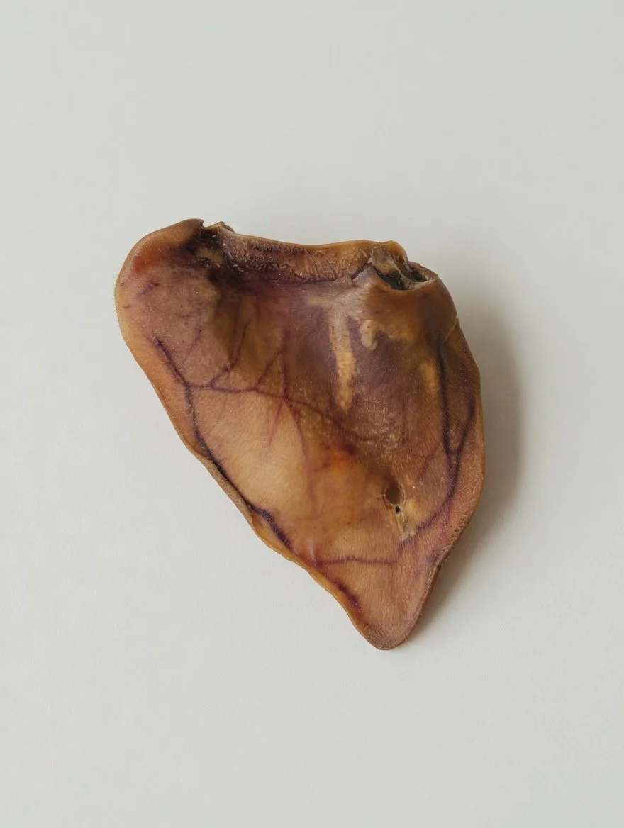 Pig Ear (Full Shot).jpg