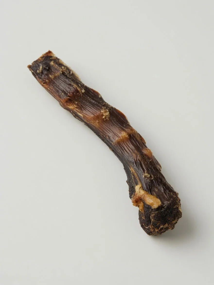 Duck Neck (close up).jpg