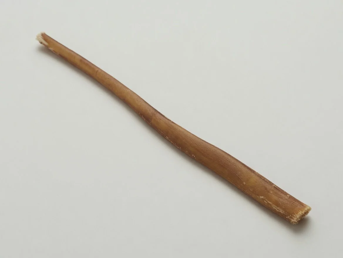 Regular Bully Stick (Full Shot).jpg