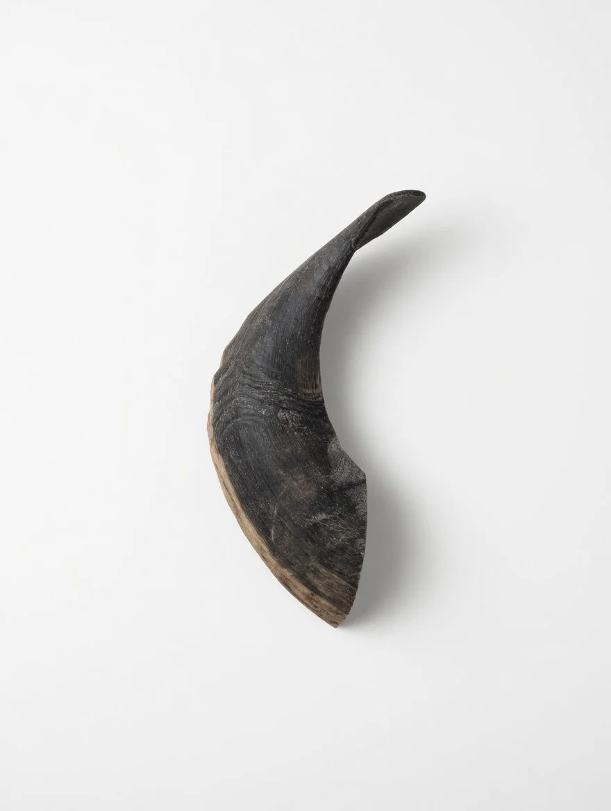Buffalo Horns
