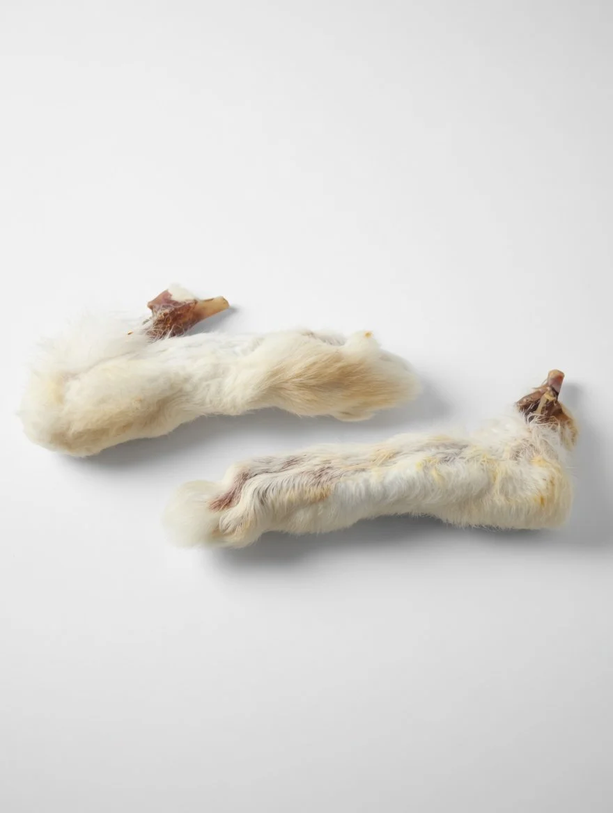 Rabbit Feet