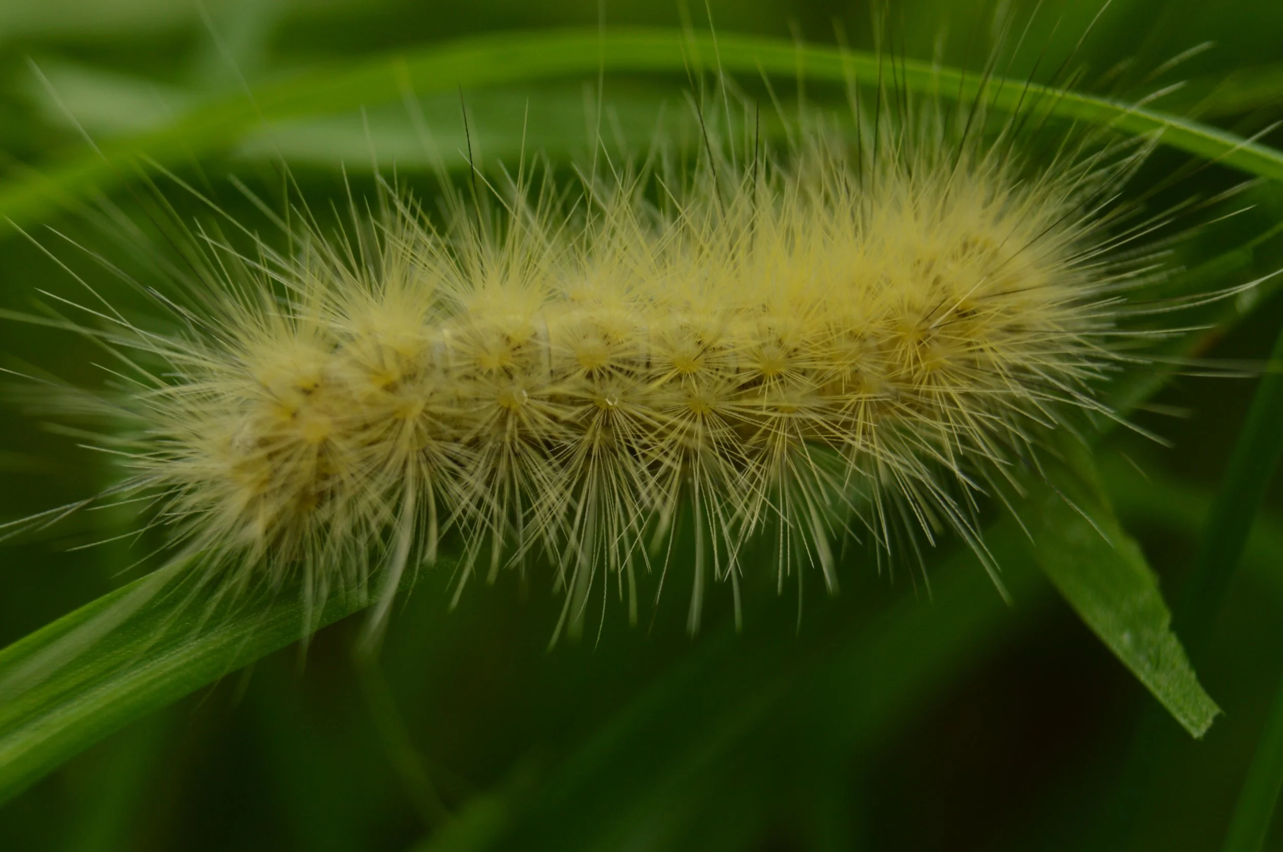 DSC_8598.JPG