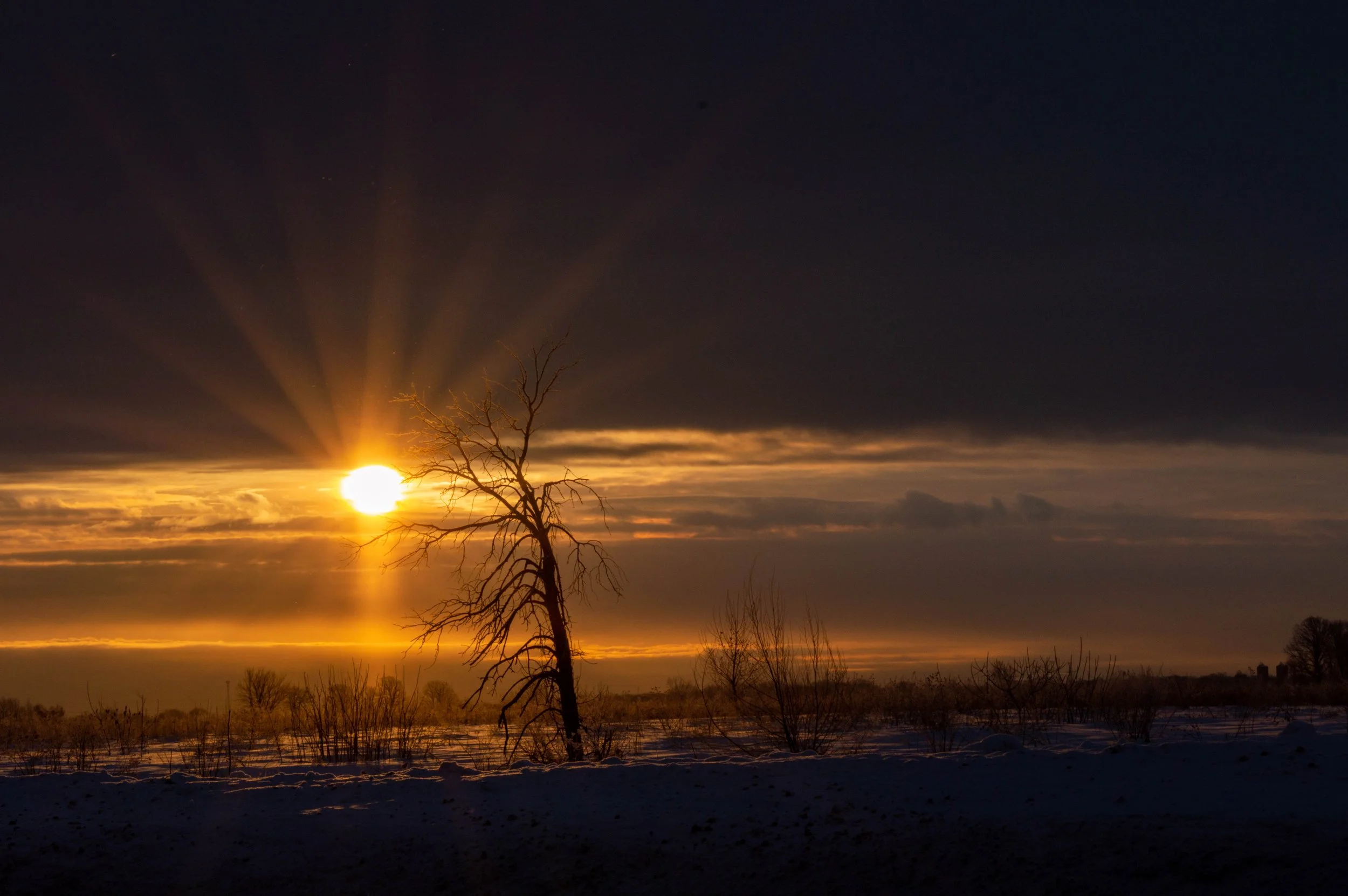 DSC_0014-2.jpg