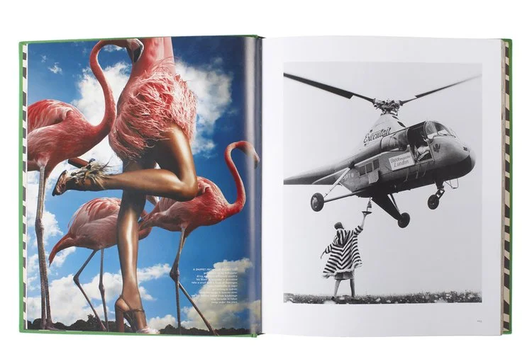 Open book showing a colorful image of flamingos with long legs and necks on the left page, and a black-and-white photo of a girl in a striped dress holding a helicopter's landing gear on the right page.