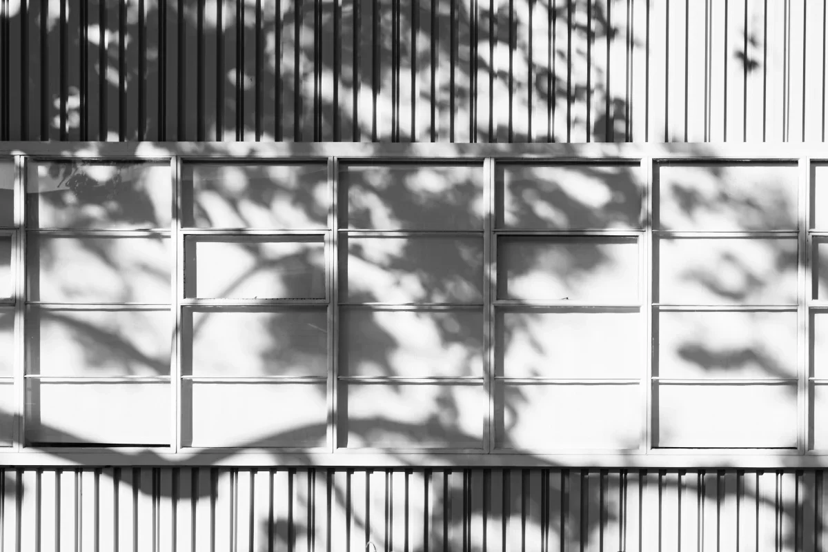 Black and white photo of a modern building's exterior with vertical siding panels and a large window reflecting shadows of trees.