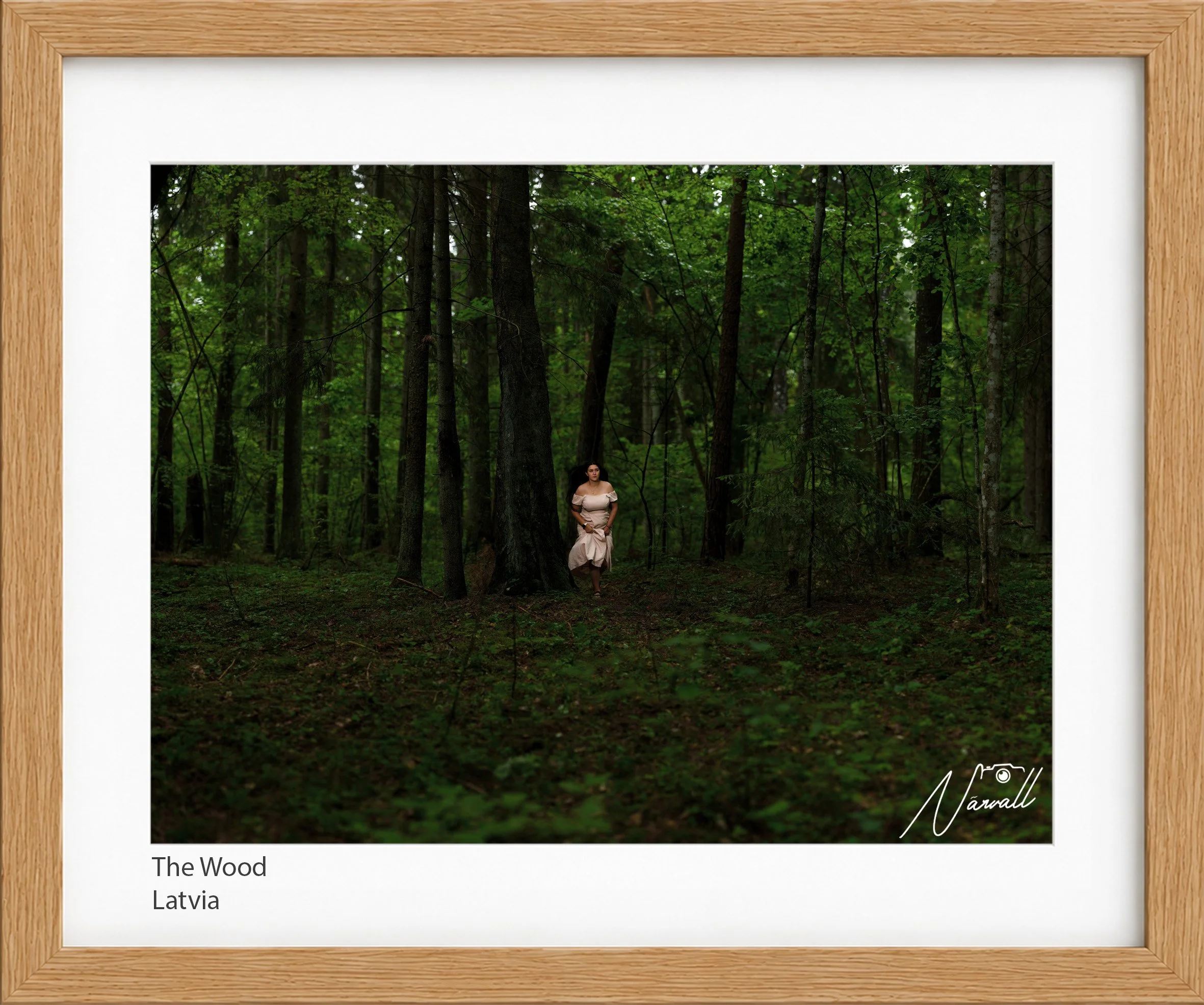 The Wood_n.jpg