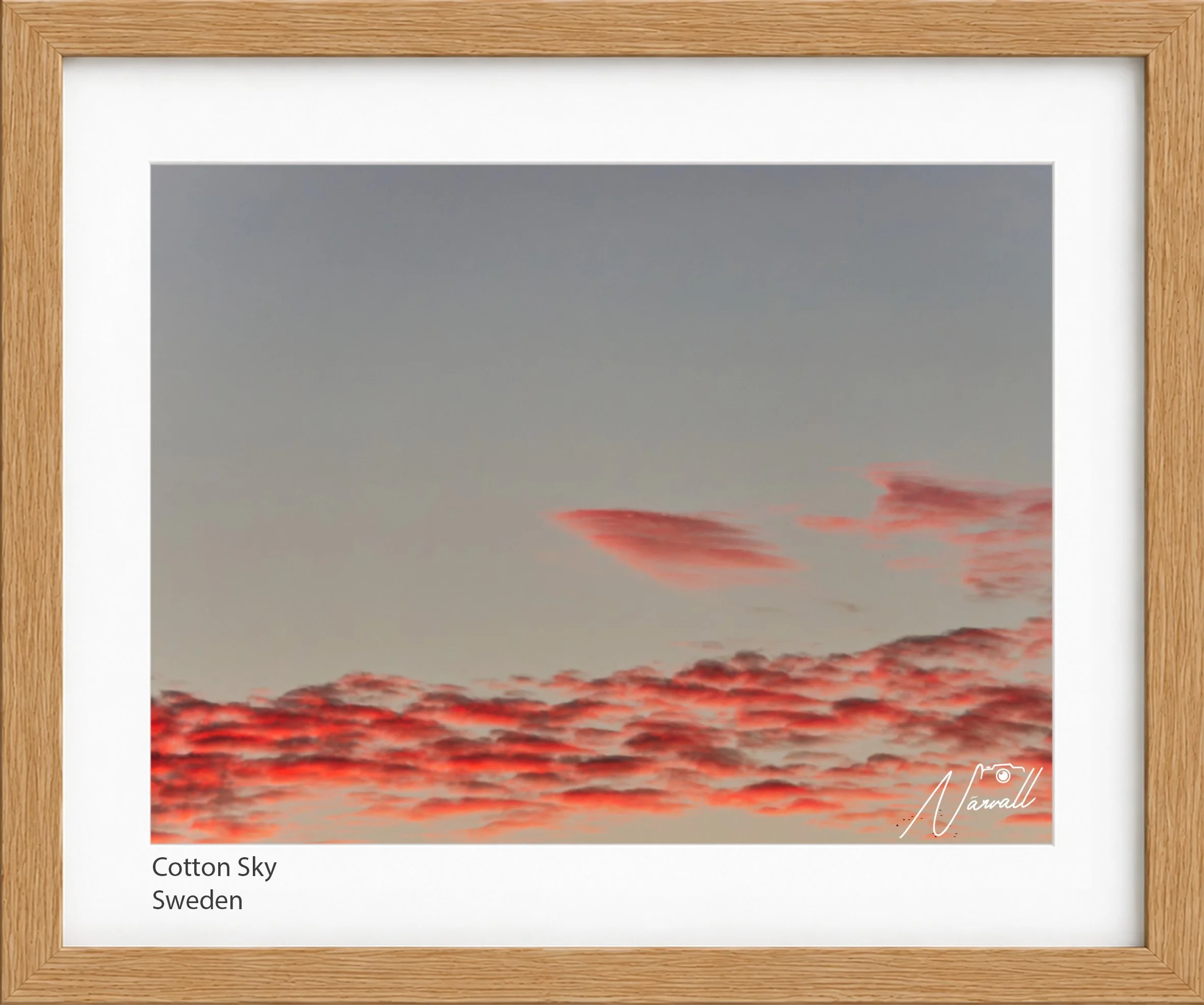 Cotton Sky.jpg