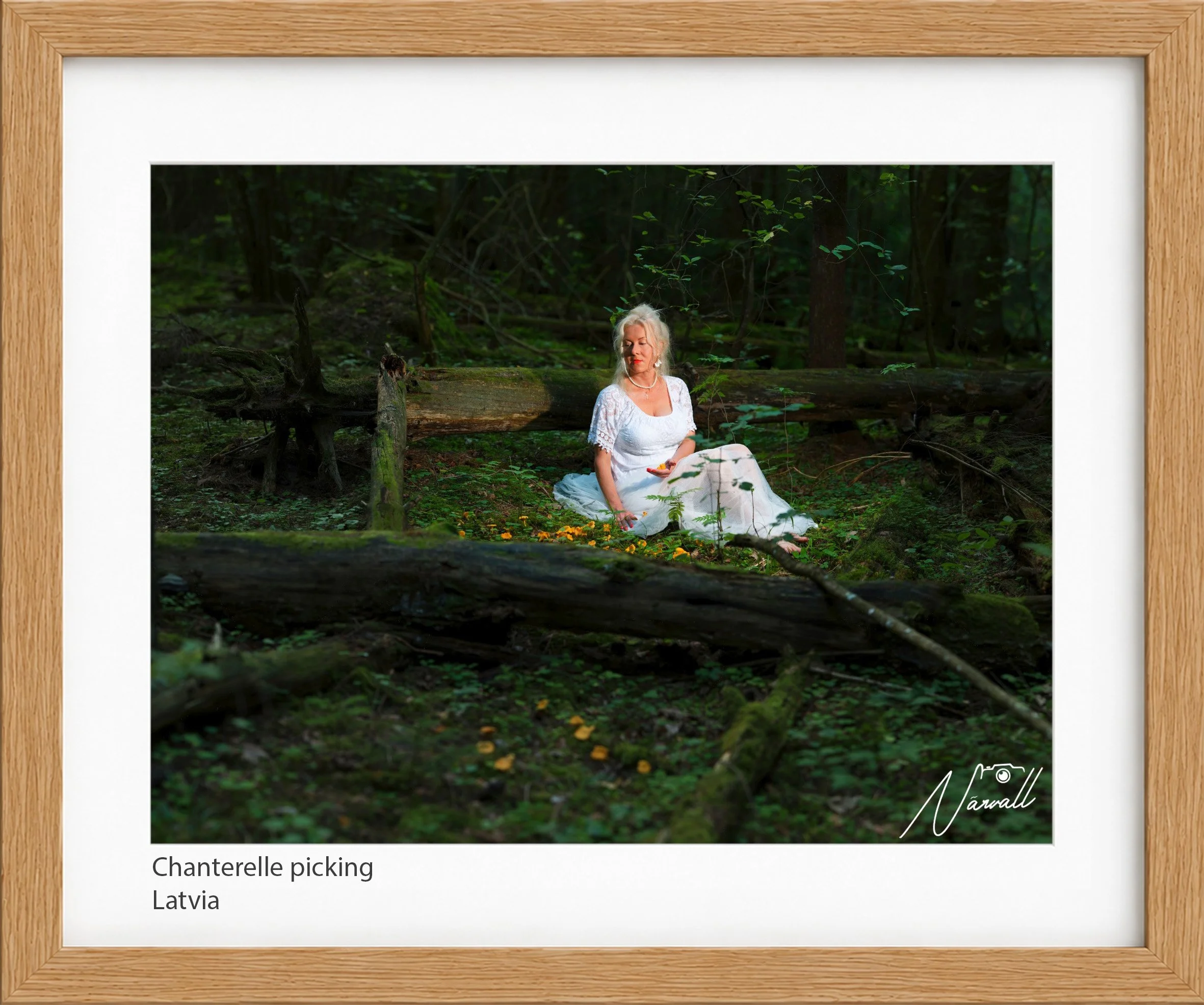 Chanterelle picking2_n.jpg