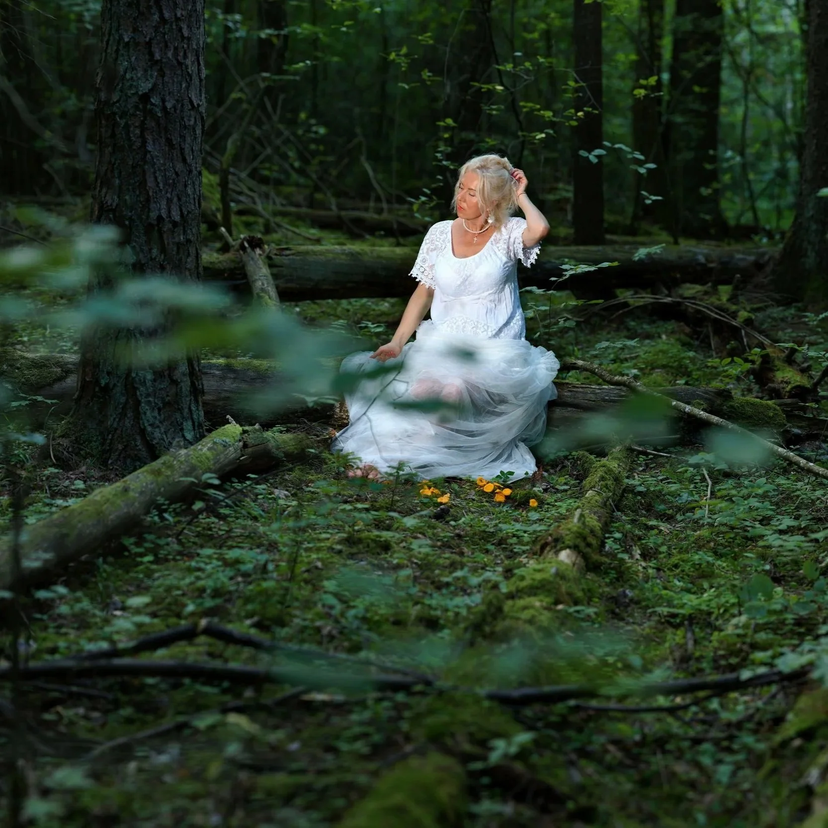 Deep in to the forest