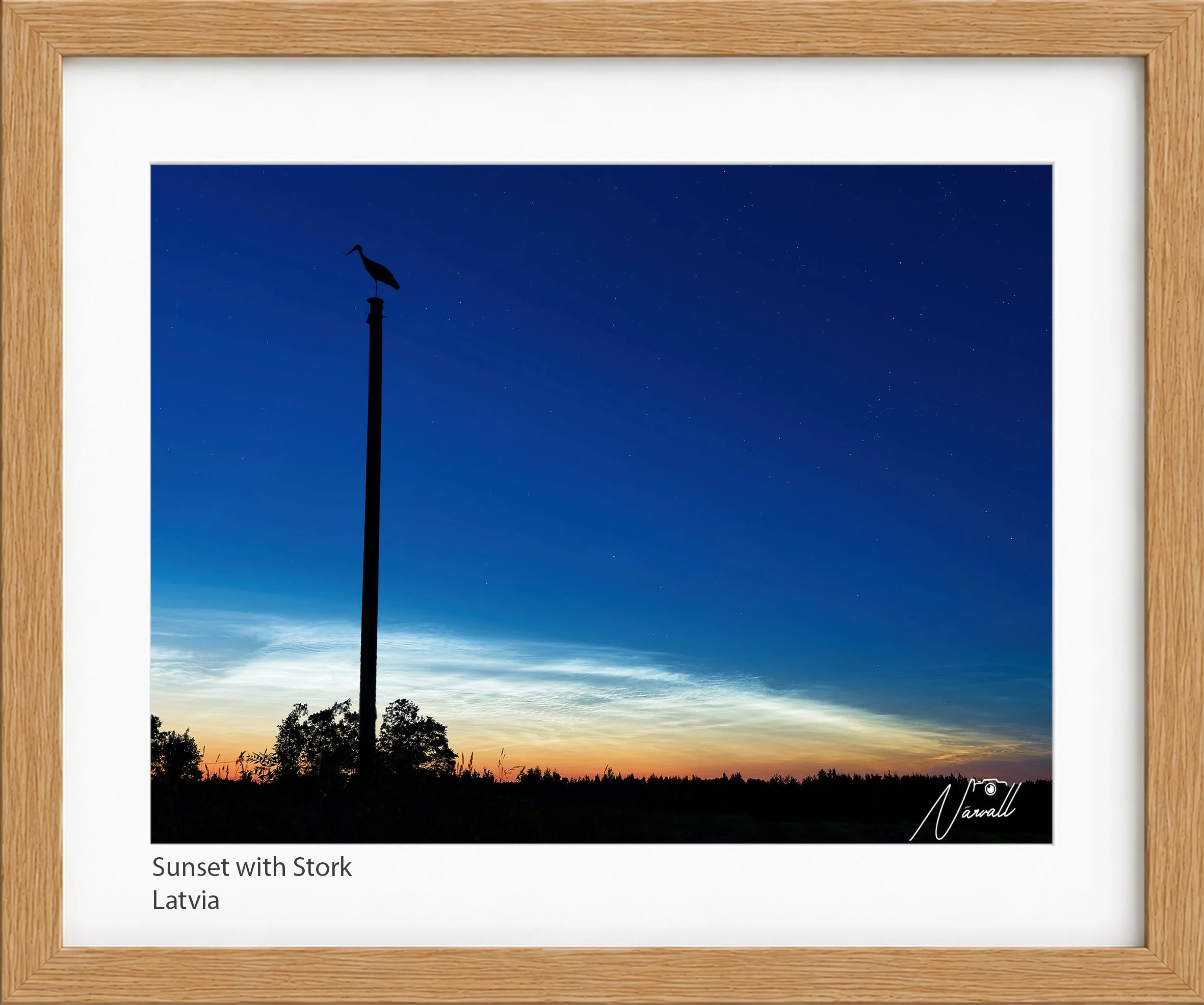 Sunset with Stork_n.jpg