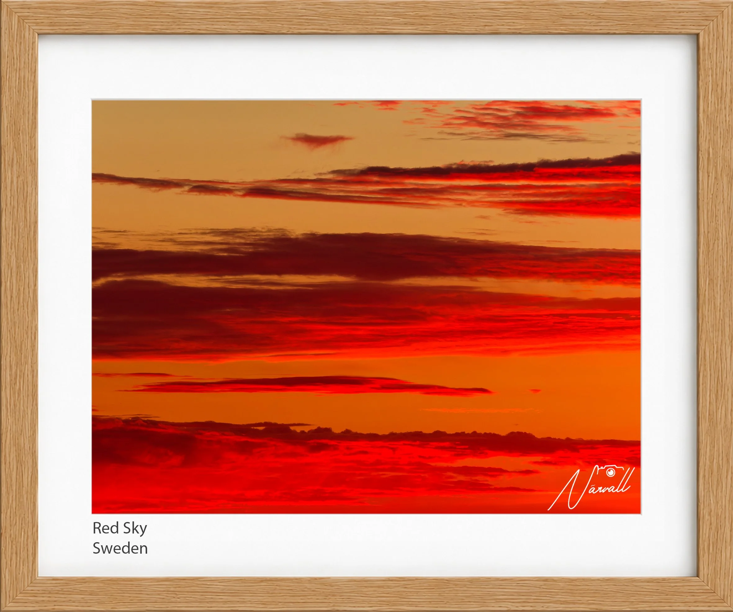Red Sky.jpg