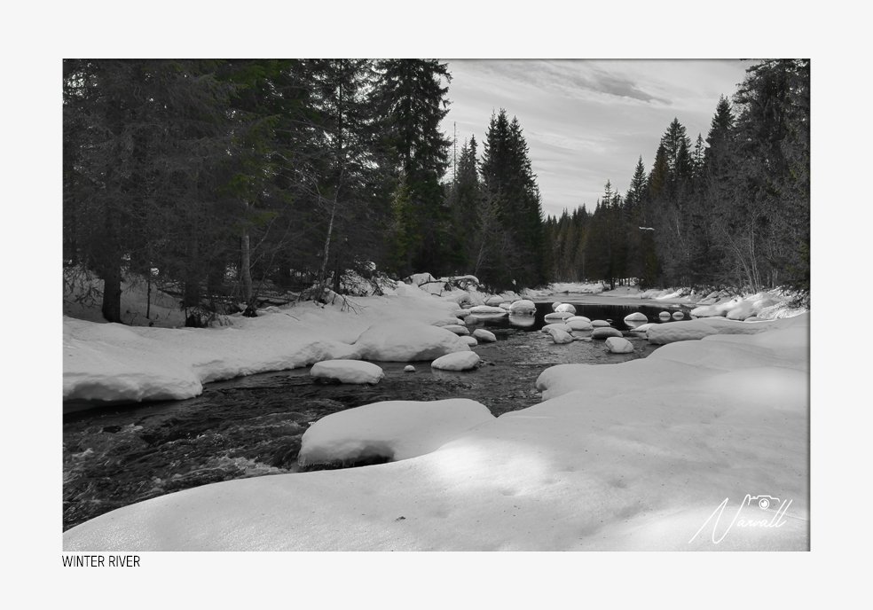 A snowy landscape of a winter river with snow-covered rocks and pine trees along the riverbank, under a cloudy sky.