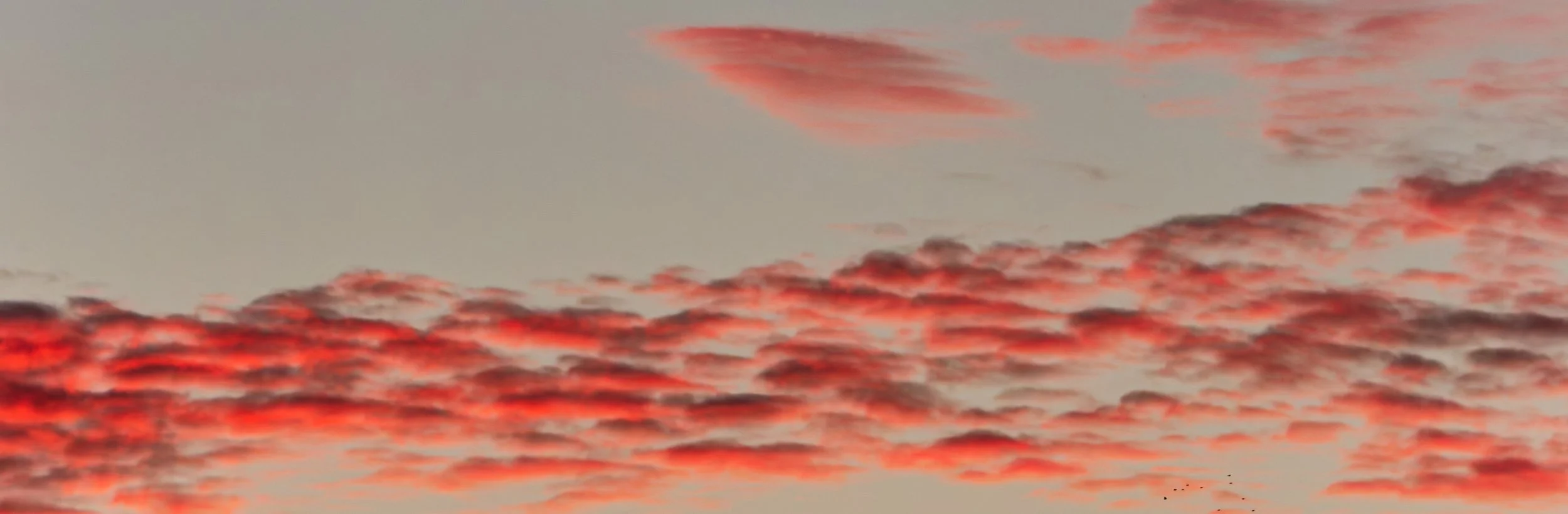 Sky's