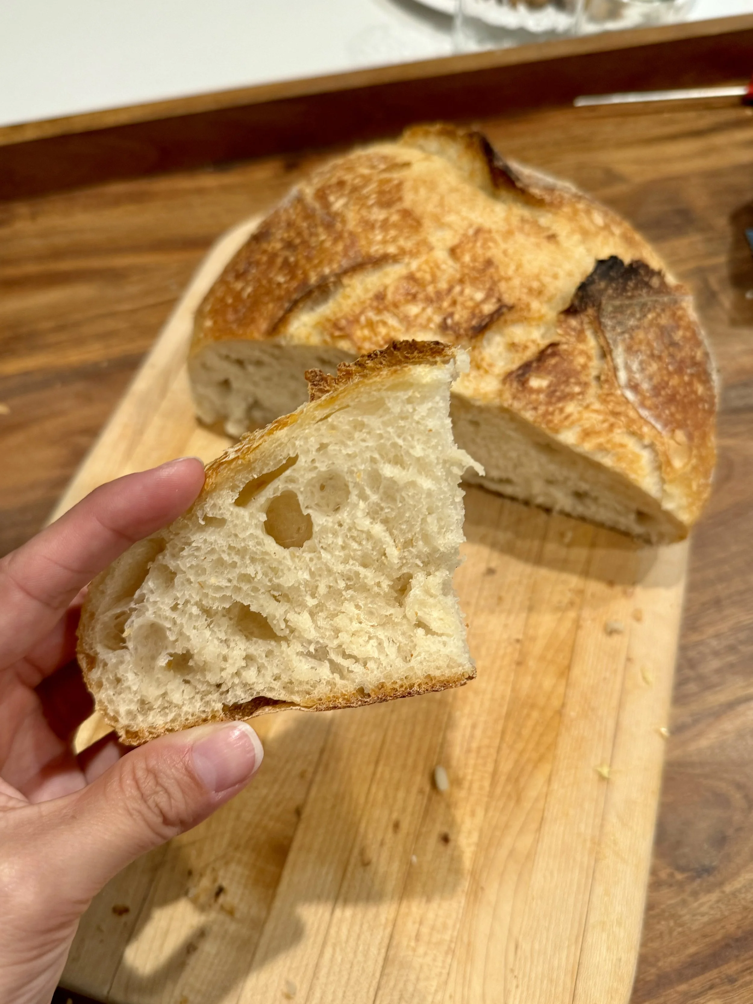 Sourdough A.K.A The Living Magic in Your Kitchen
