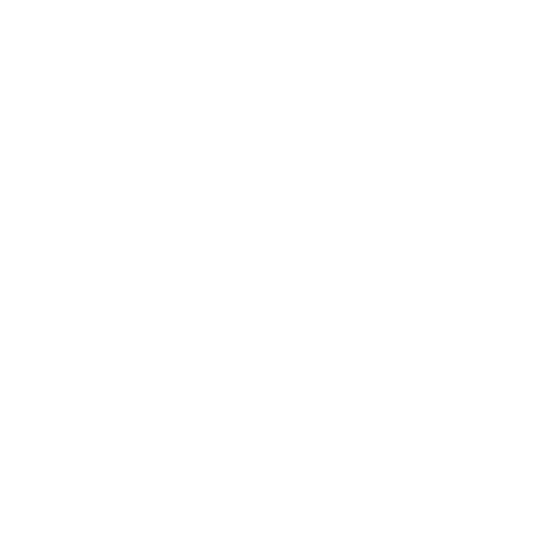 Icon of a document with a magnifying glass