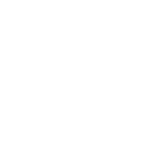 A black and white target with concentric circles.