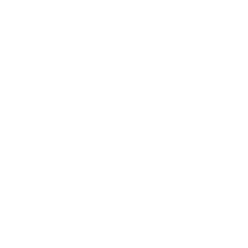 White globe icon on black background.