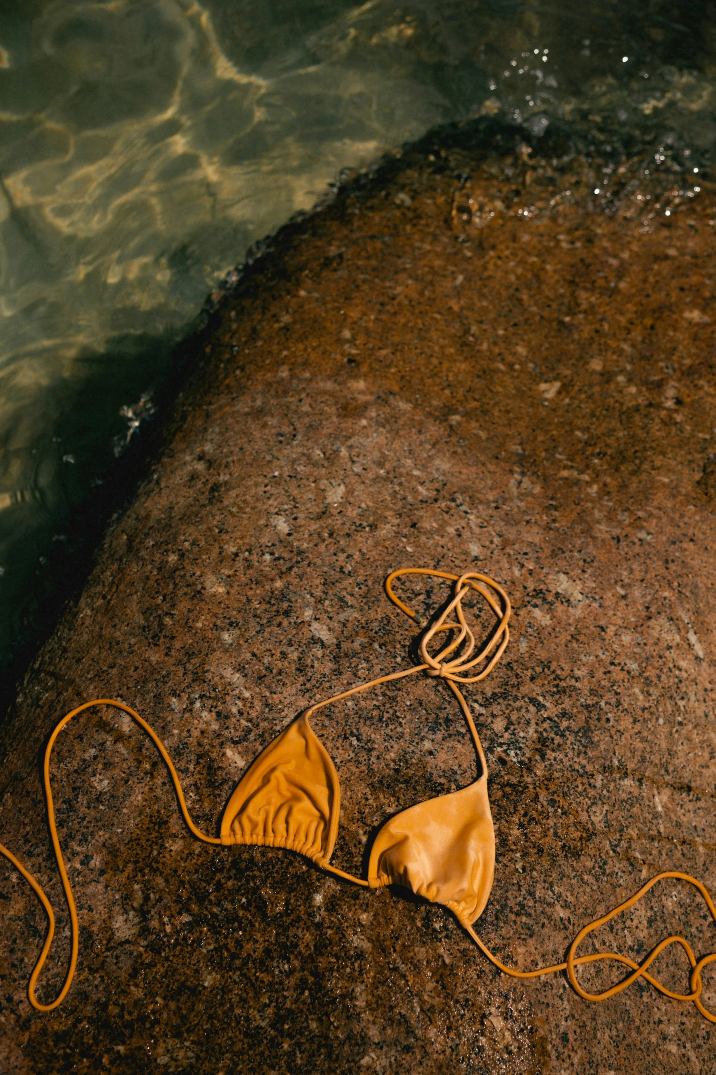 who what wear: The 2026 Swim Report Has Arrived—Here Are the Trends Defining the Season