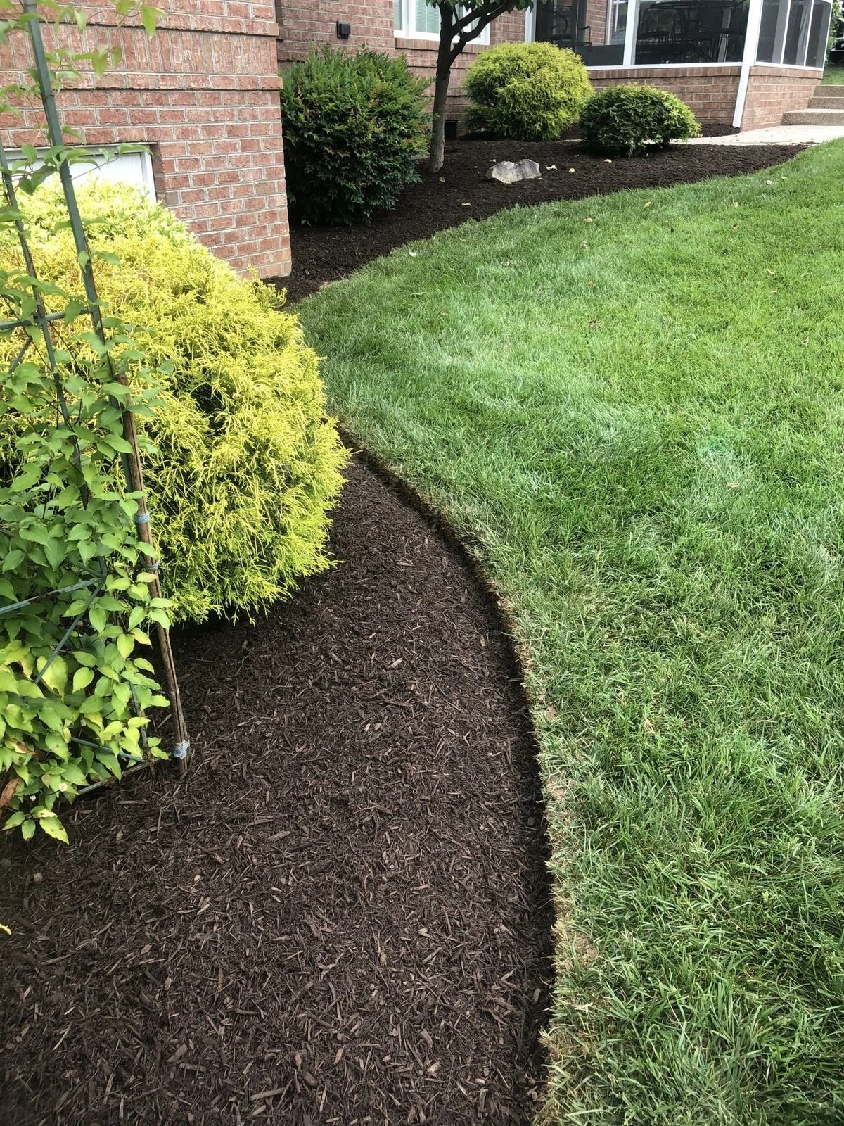 A freshly mulched garden bed with yellow and green bushes, a small tree, and a brick house in the background. A green lawn surrounds the bed.