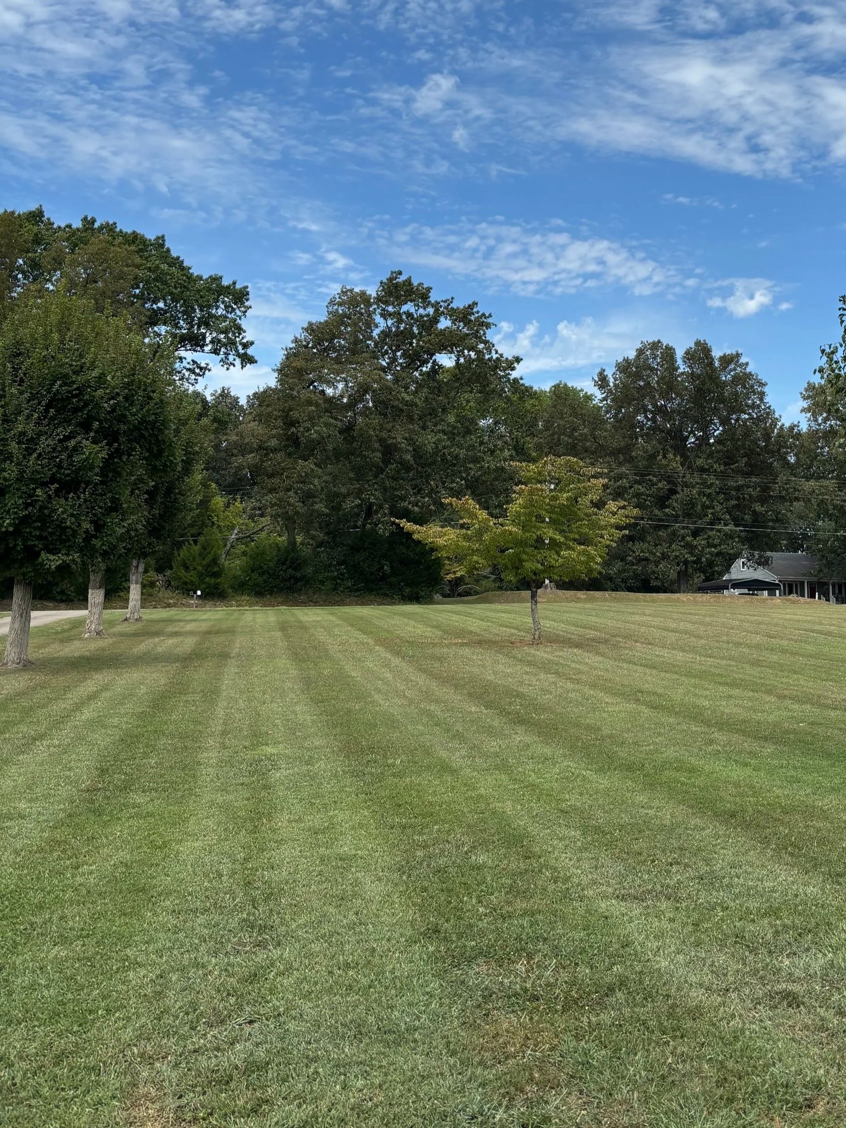 A well-maintained grassy field with striped mowing patterns, lined by several trees of varying sizes and types, under a partly cloudy blue sky.