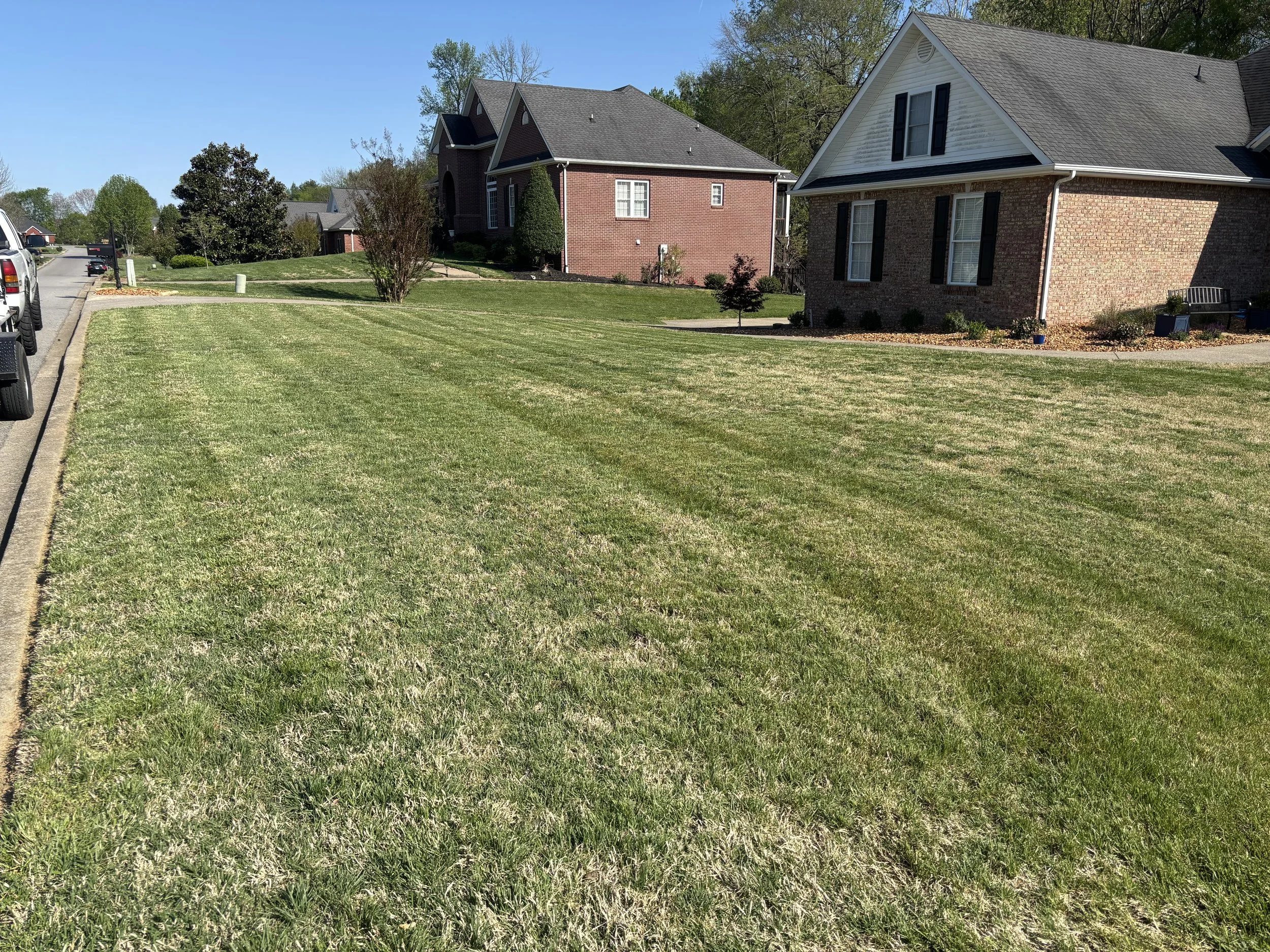 A well-maintained grassy lawn next to a residential street with parked cars and brick houses, clear blue sky, and some trees in the background.